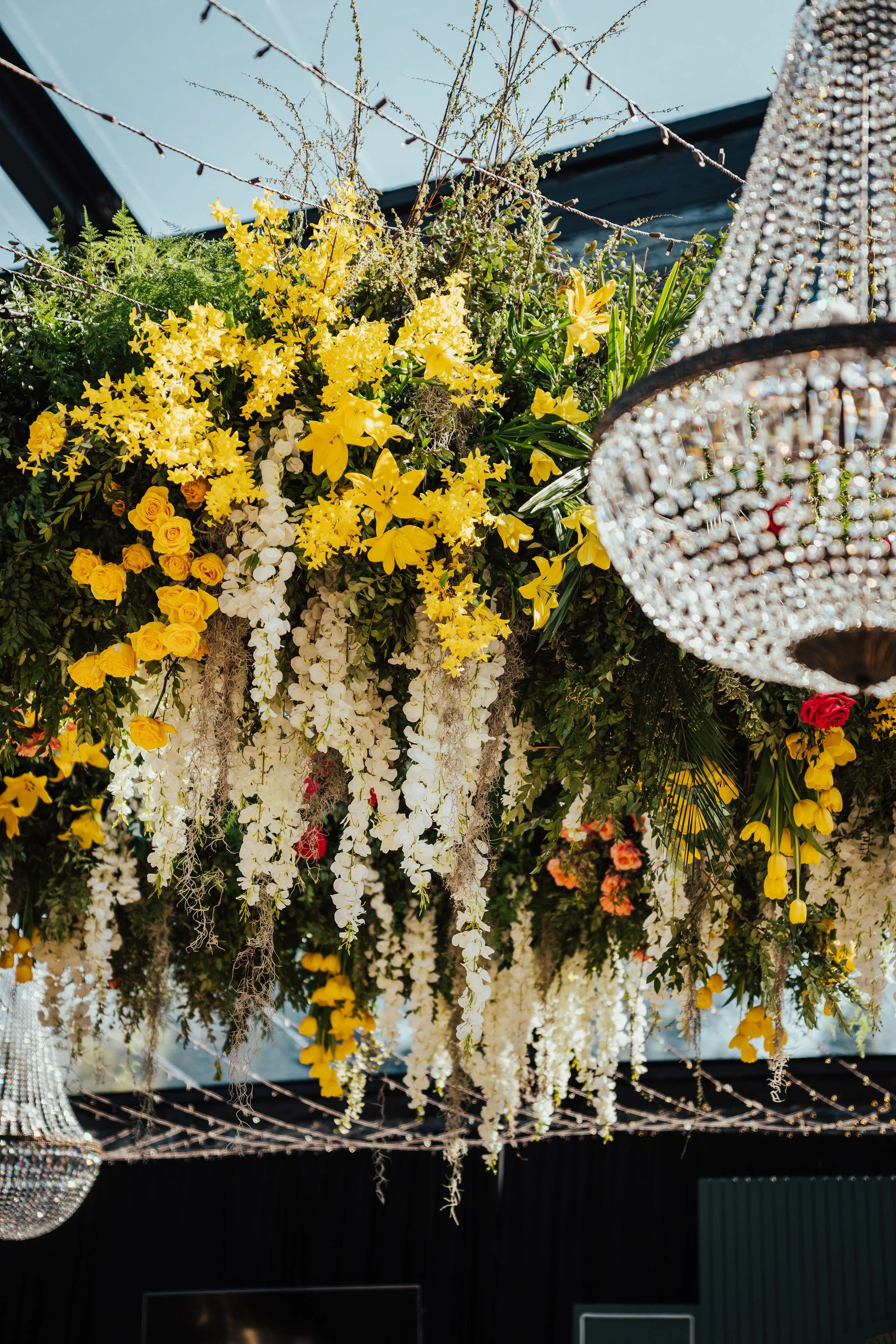 Luxury Seattle Birthday Party - Backyard Tent