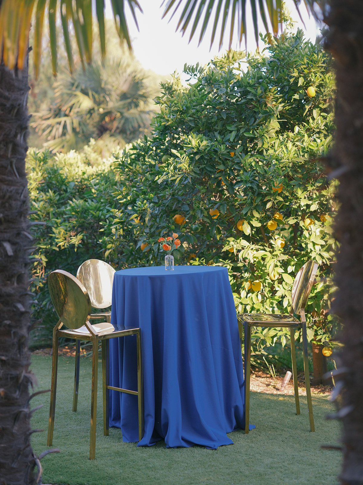 0056 HOLLYWOOD HILLS EVENT michaelandannacosta_websize.jpg