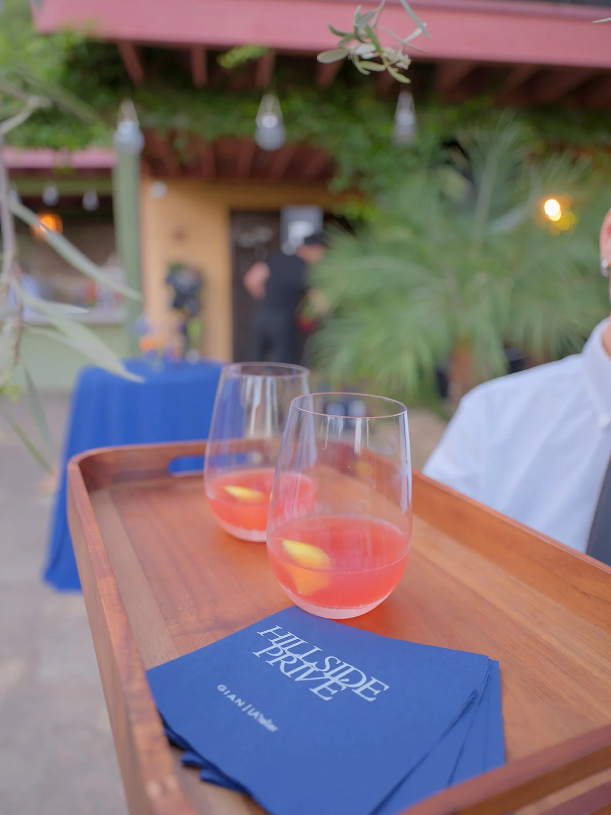 0132 HOLLYWOOD HILLS EVENT michaelandannacosta_websize.jpg