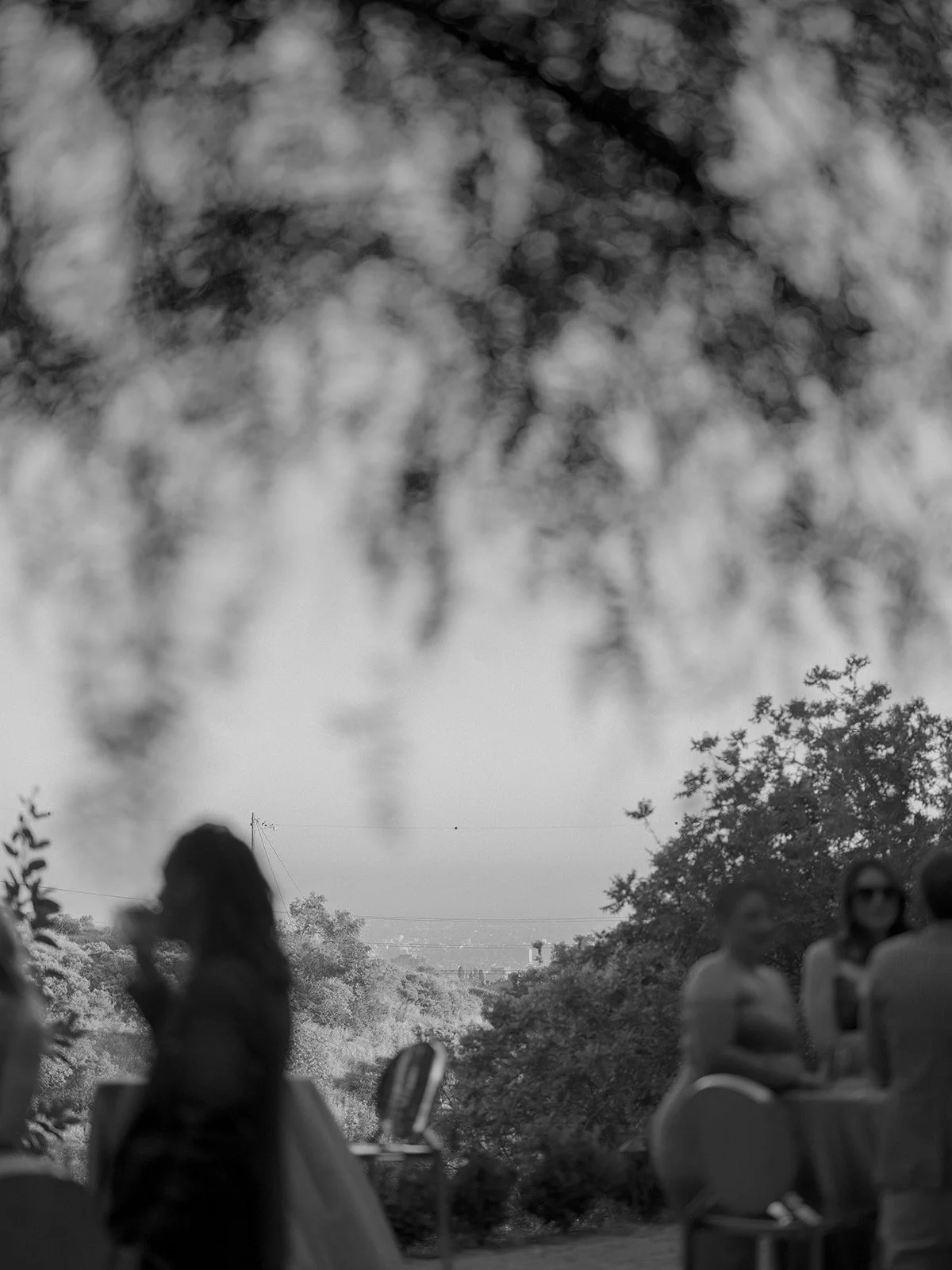 0185 HOLLYWOOD HILLS EVENT michaelandannacosta_websize.jpg