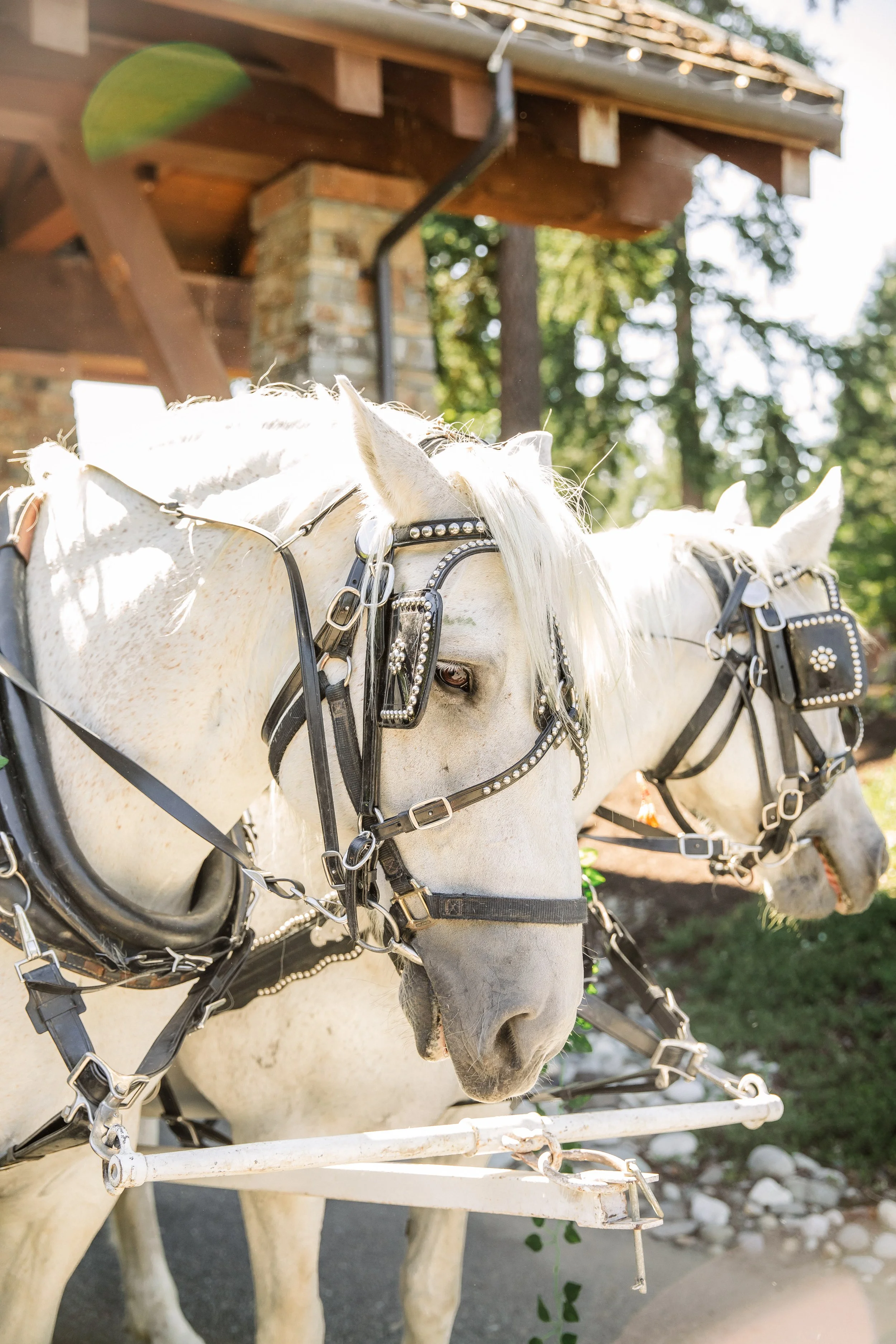 Soumya & Chris Wedding Highlights-65.jpg