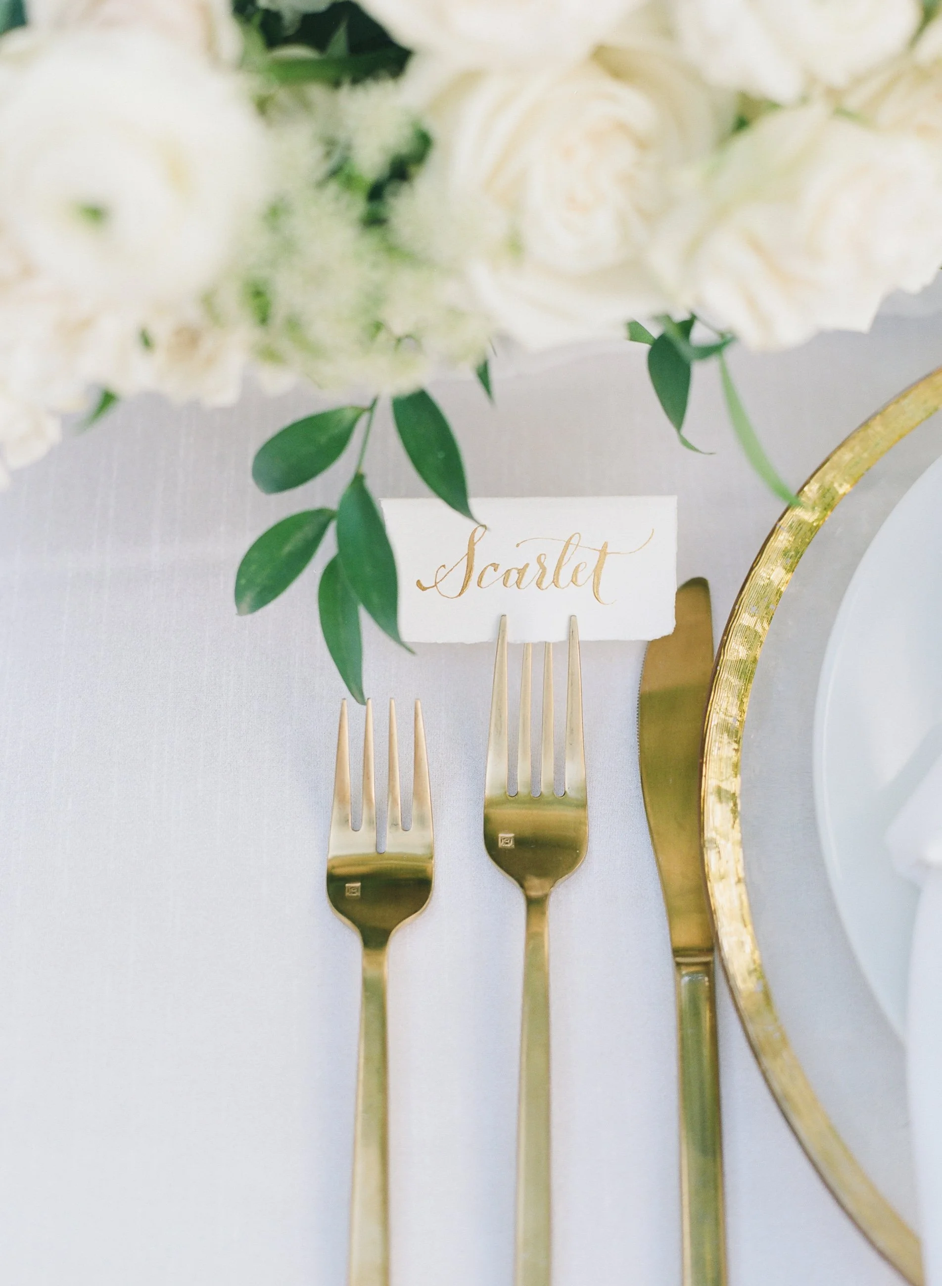 0078_MICHAELandANNA COSTA PHOTOGRAPHY.jpg