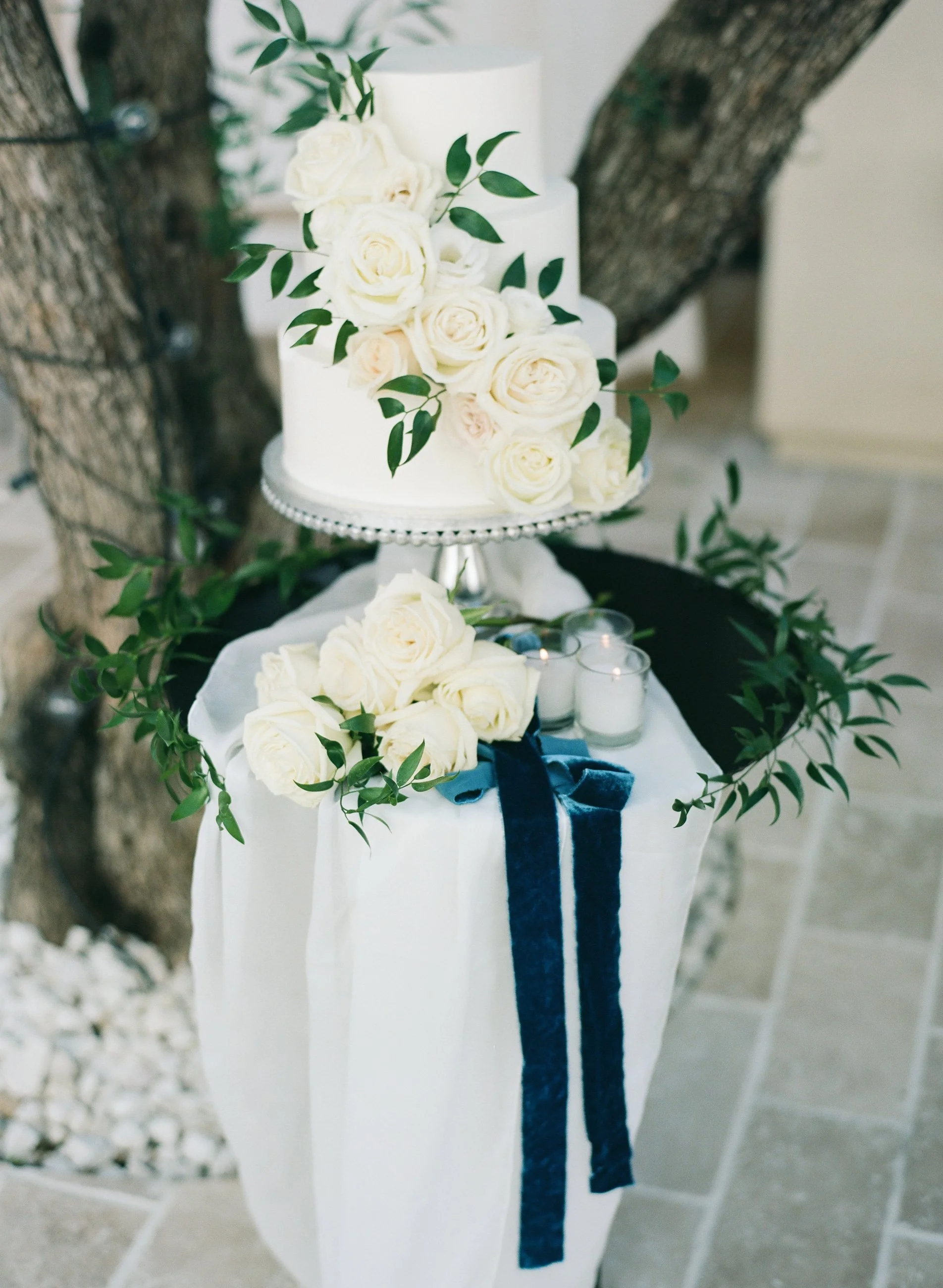 0088_MICHAELandANNA COSTA PHOTOGRAPHY.jpg