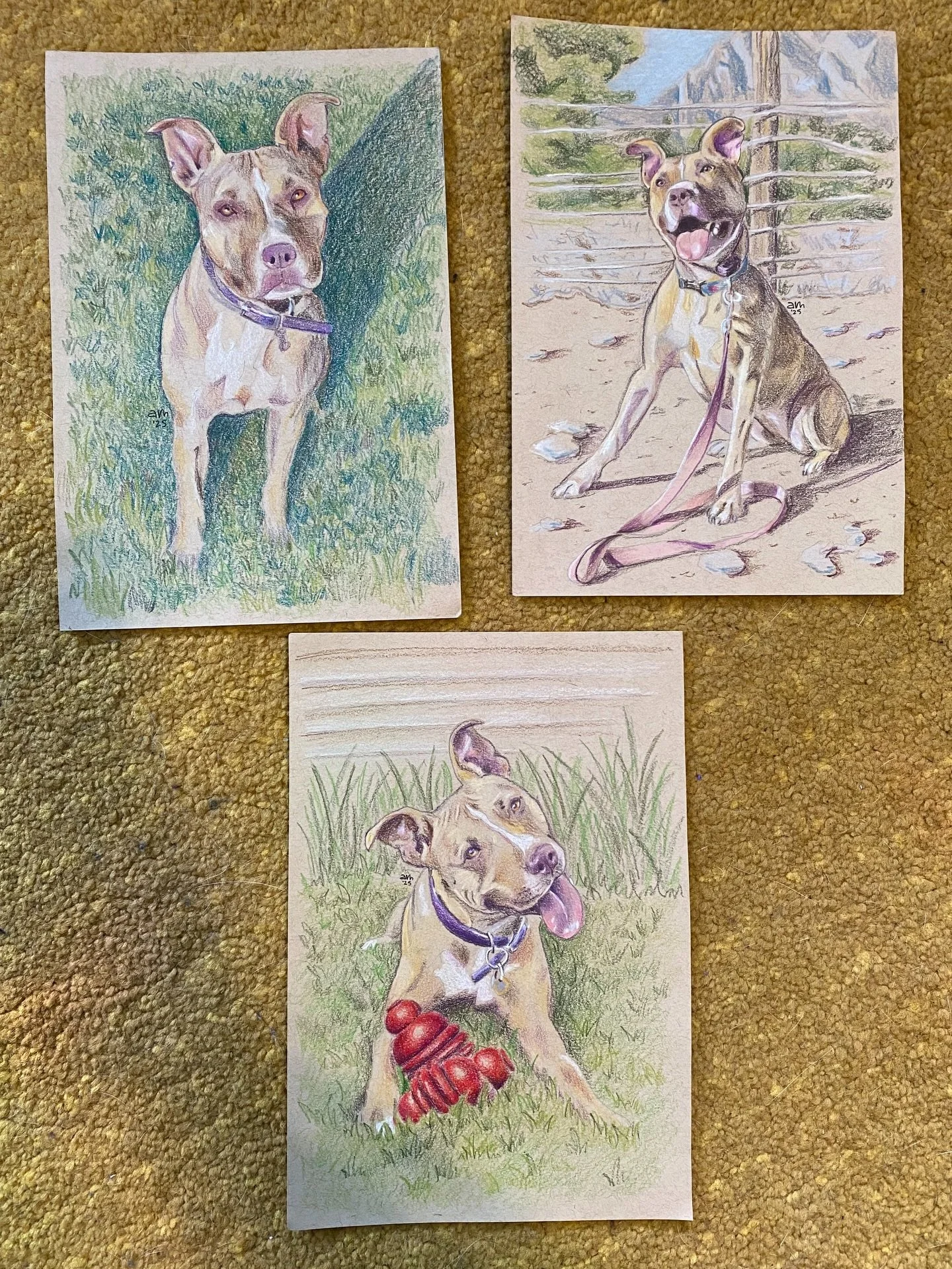 Had the absolute honor and pleasure of making portraits for my Luch girls of their beloved Vanna. Colored pencil on toned paper 💖 Swipe for close ups!
✨ commissions always open ✨