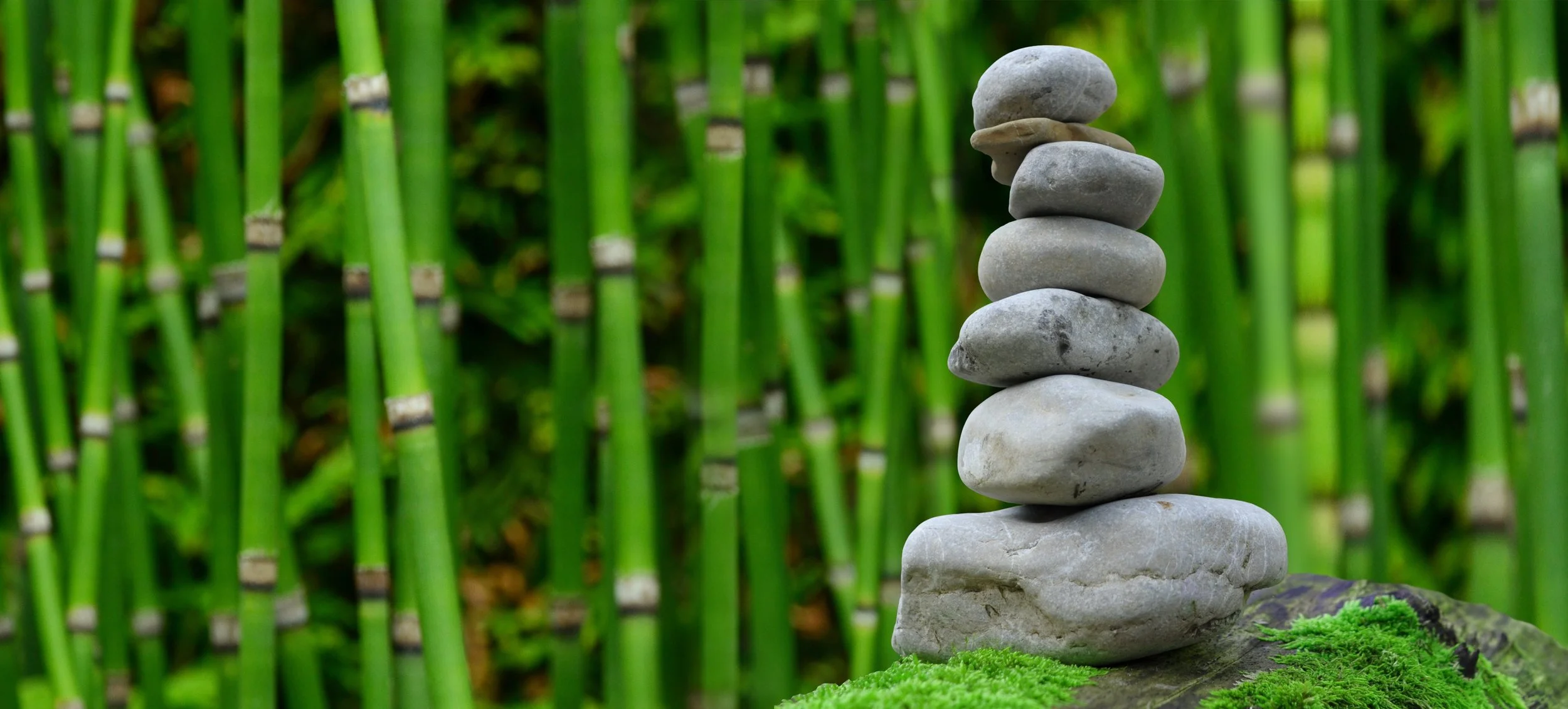 a cairn and bamboo