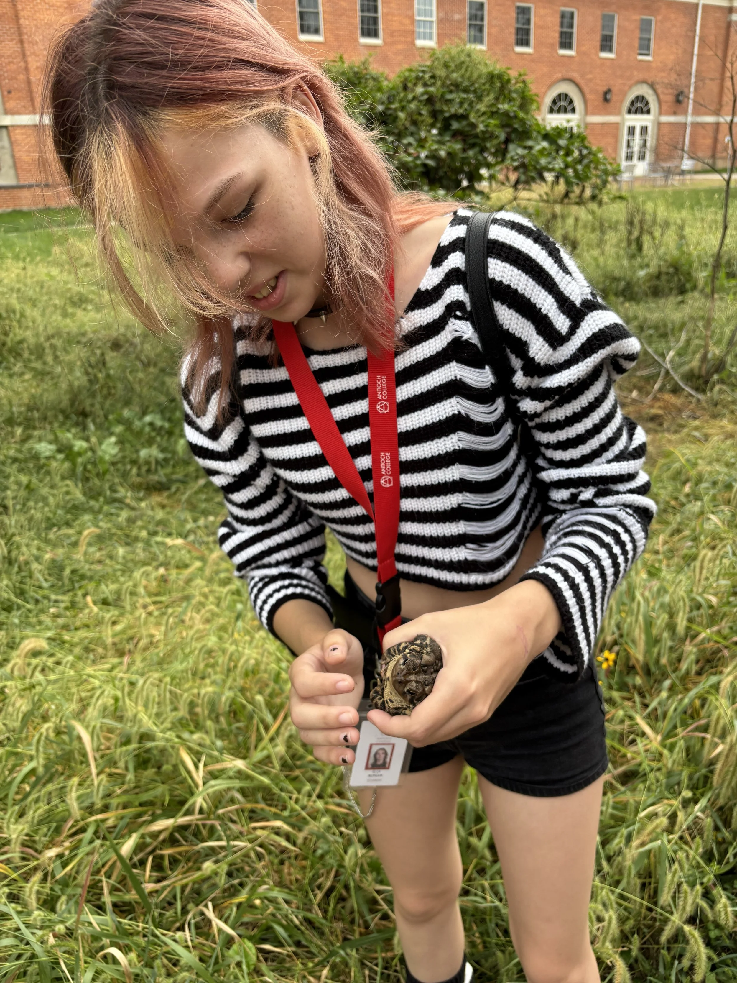 a student holding a large American Toad on campus
