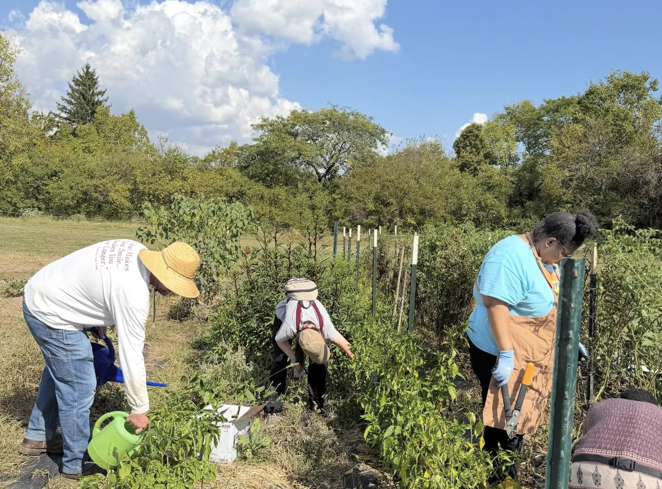 students watering and caring for a garden