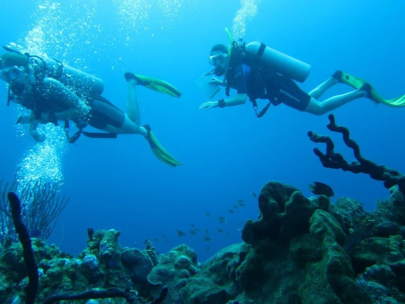 two students scuba diving near the ocean floor