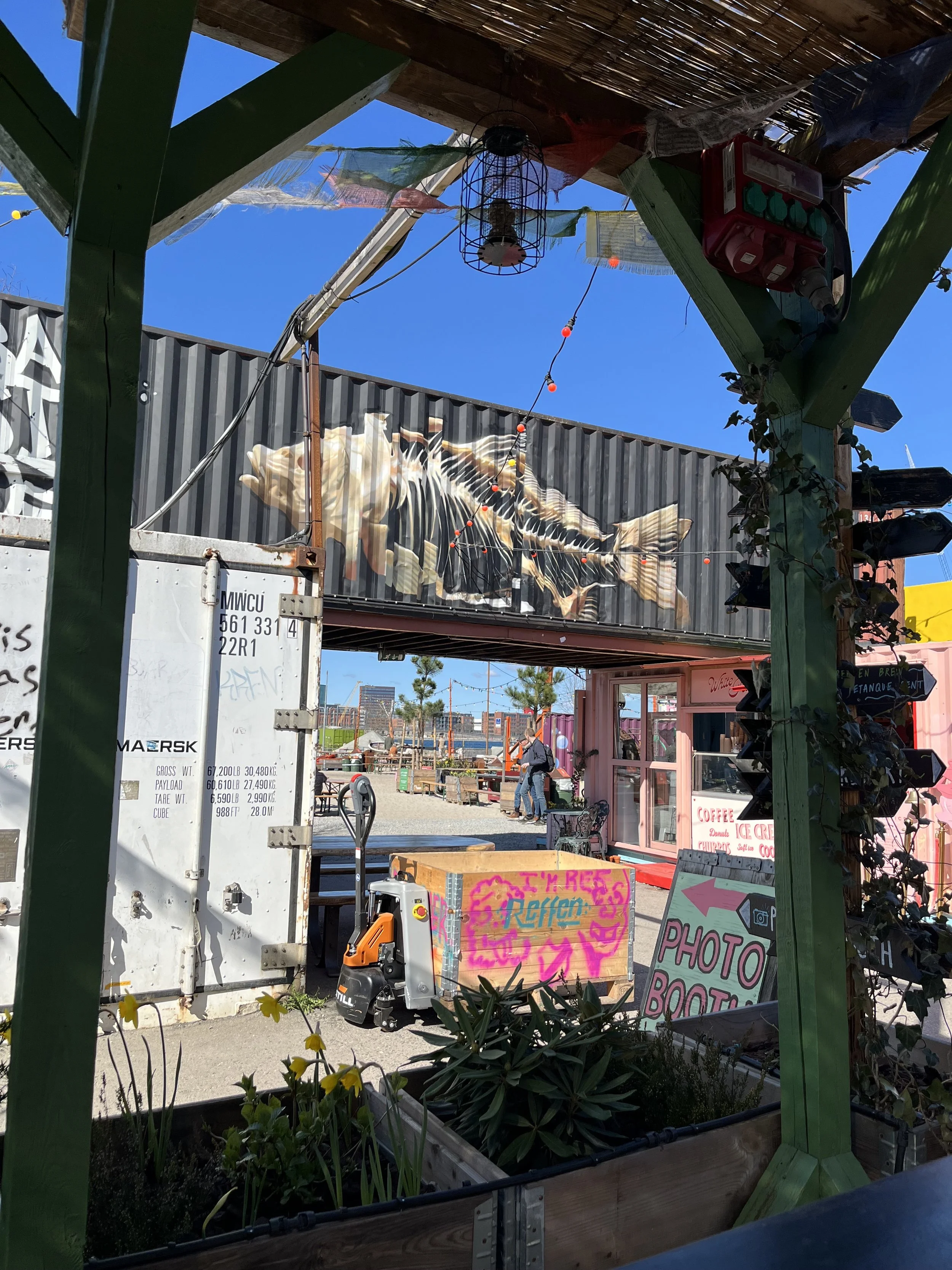 IMG_4770.jpeg