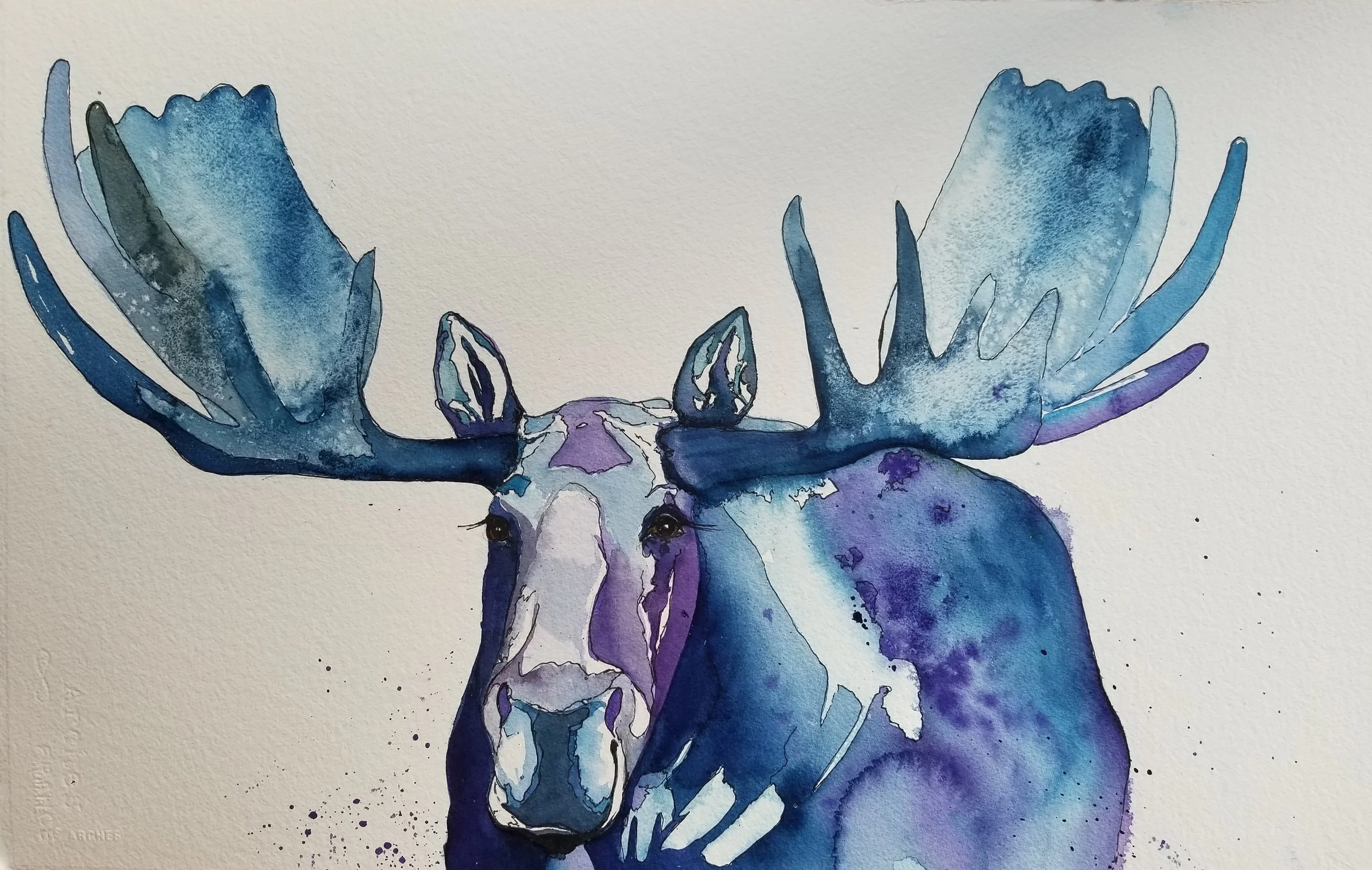 Blue Moose.jpg