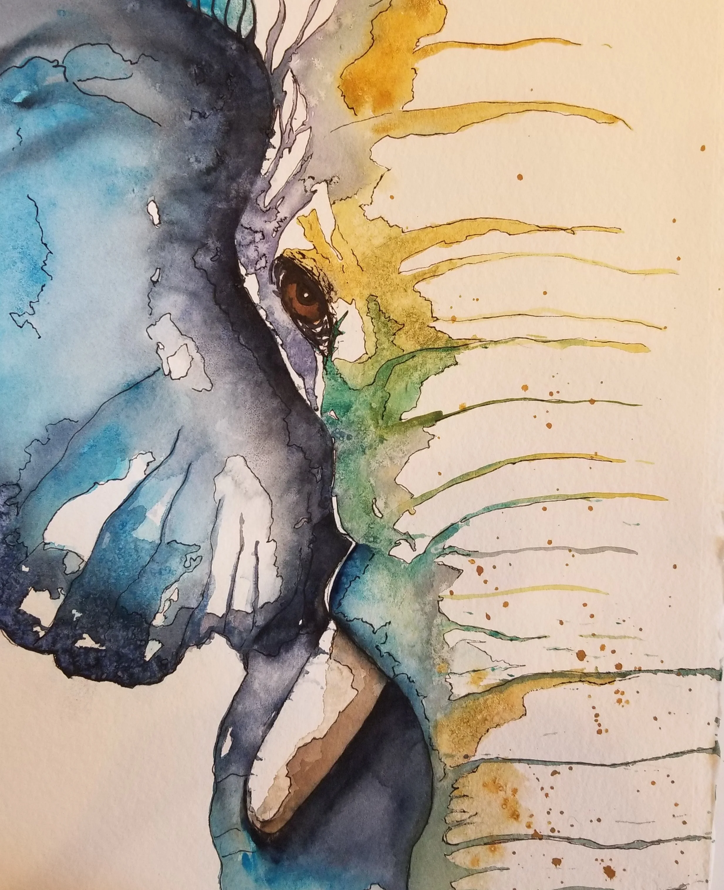 Debbie's Elephant.jpg