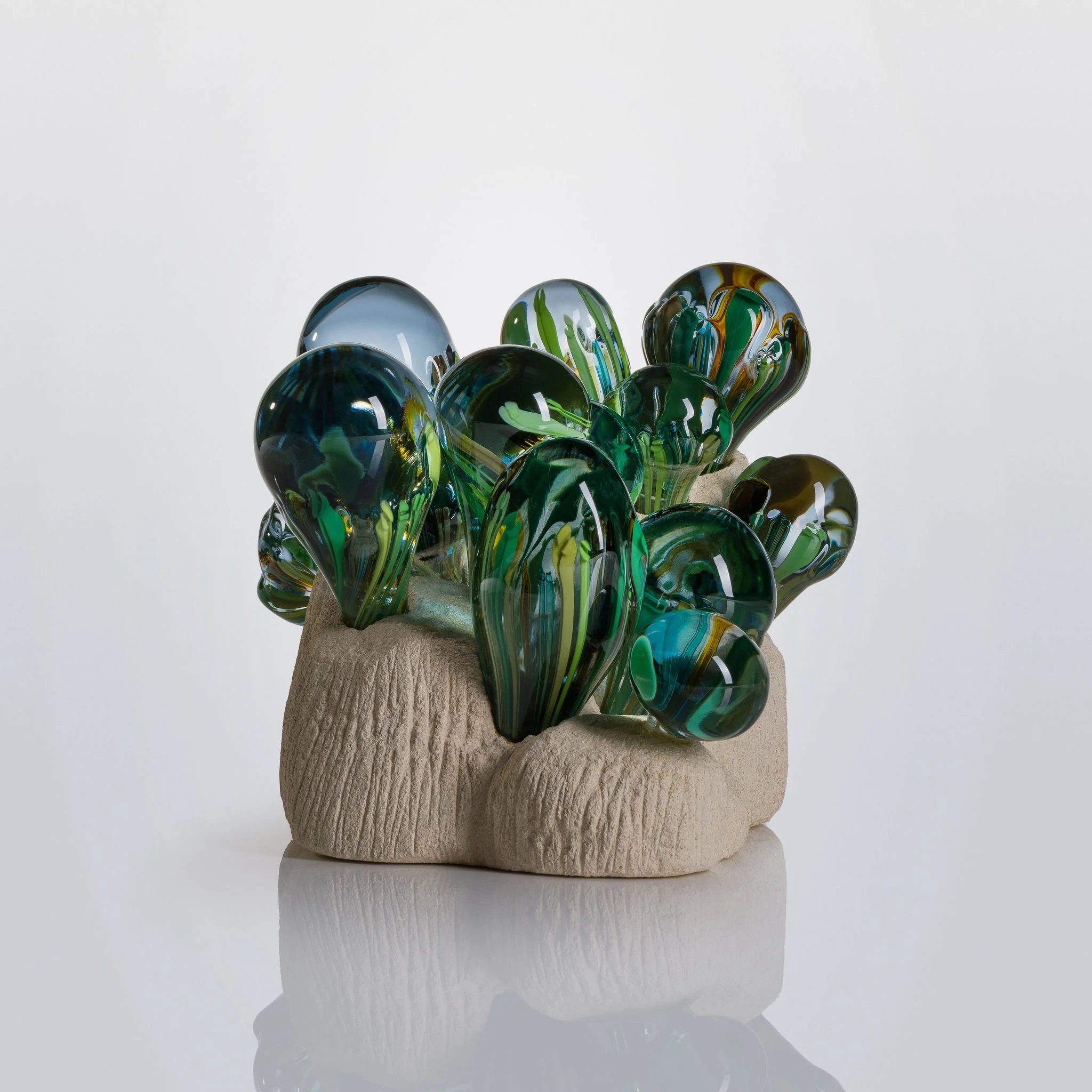 RMA001 Not a Plant1.jpg