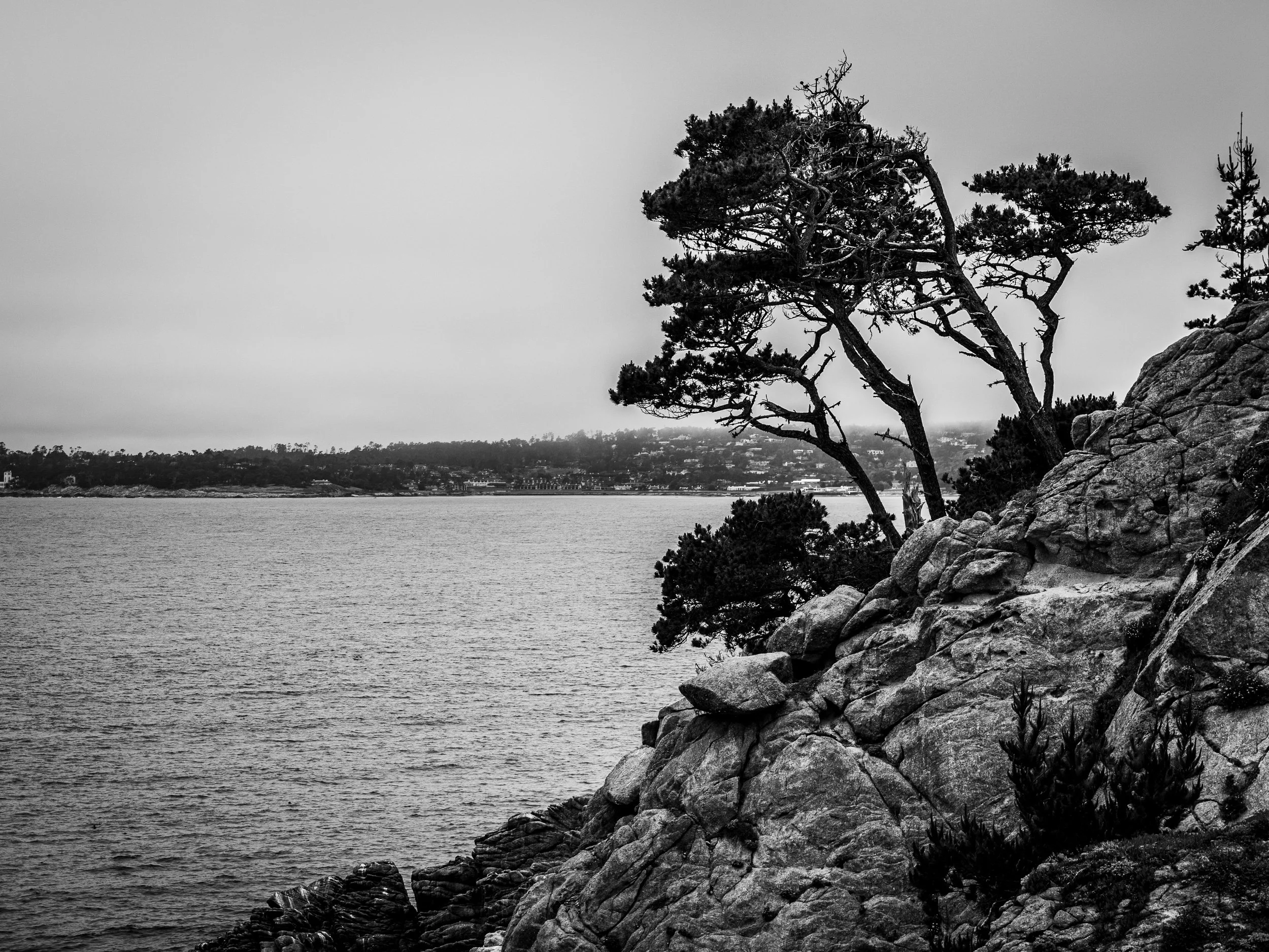 4x6_8x12_12x18_16x24 - 2x3-41.jpg