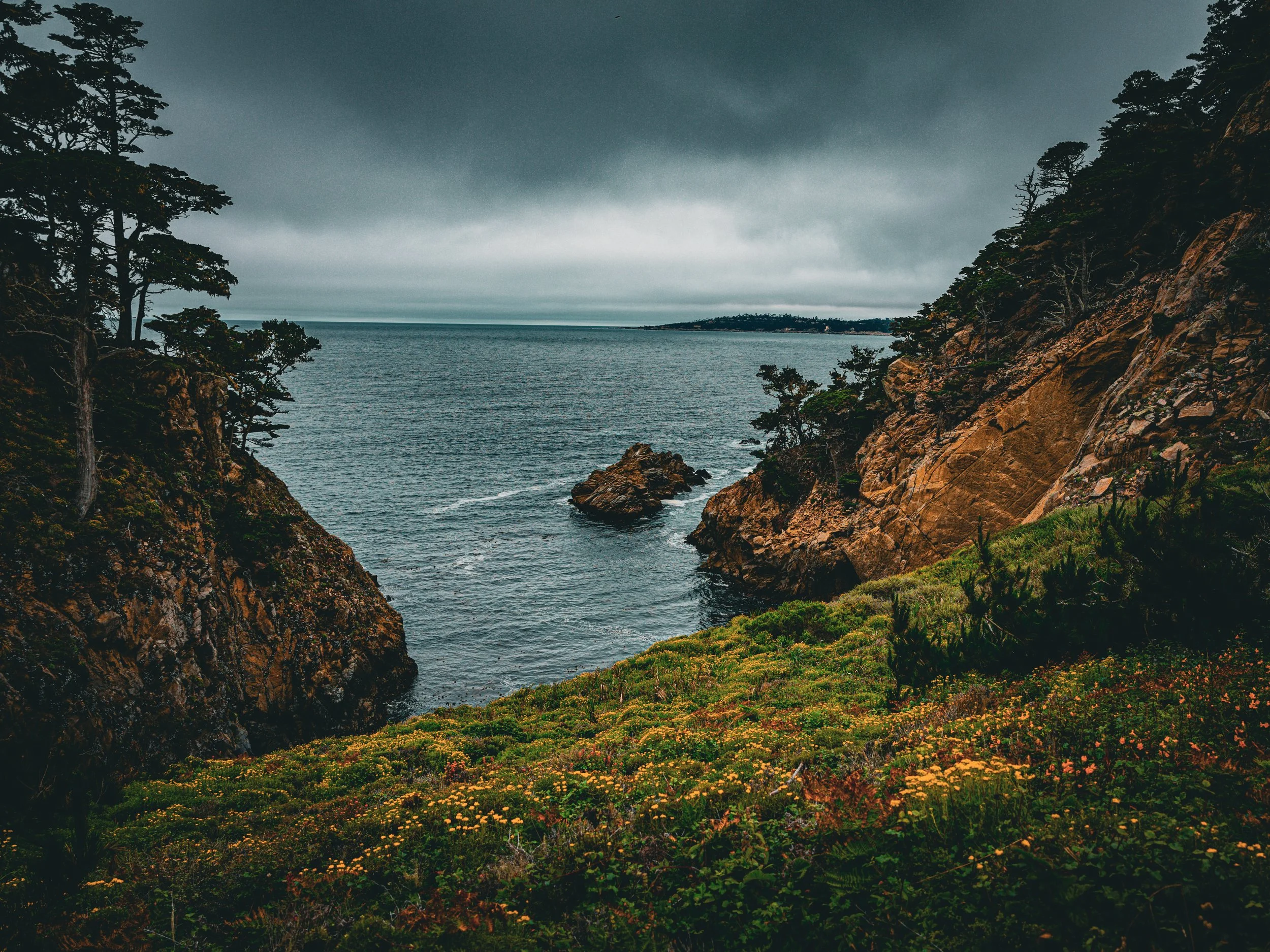4x6_8x12_12x18_16x24 - 2x3-39.jpg