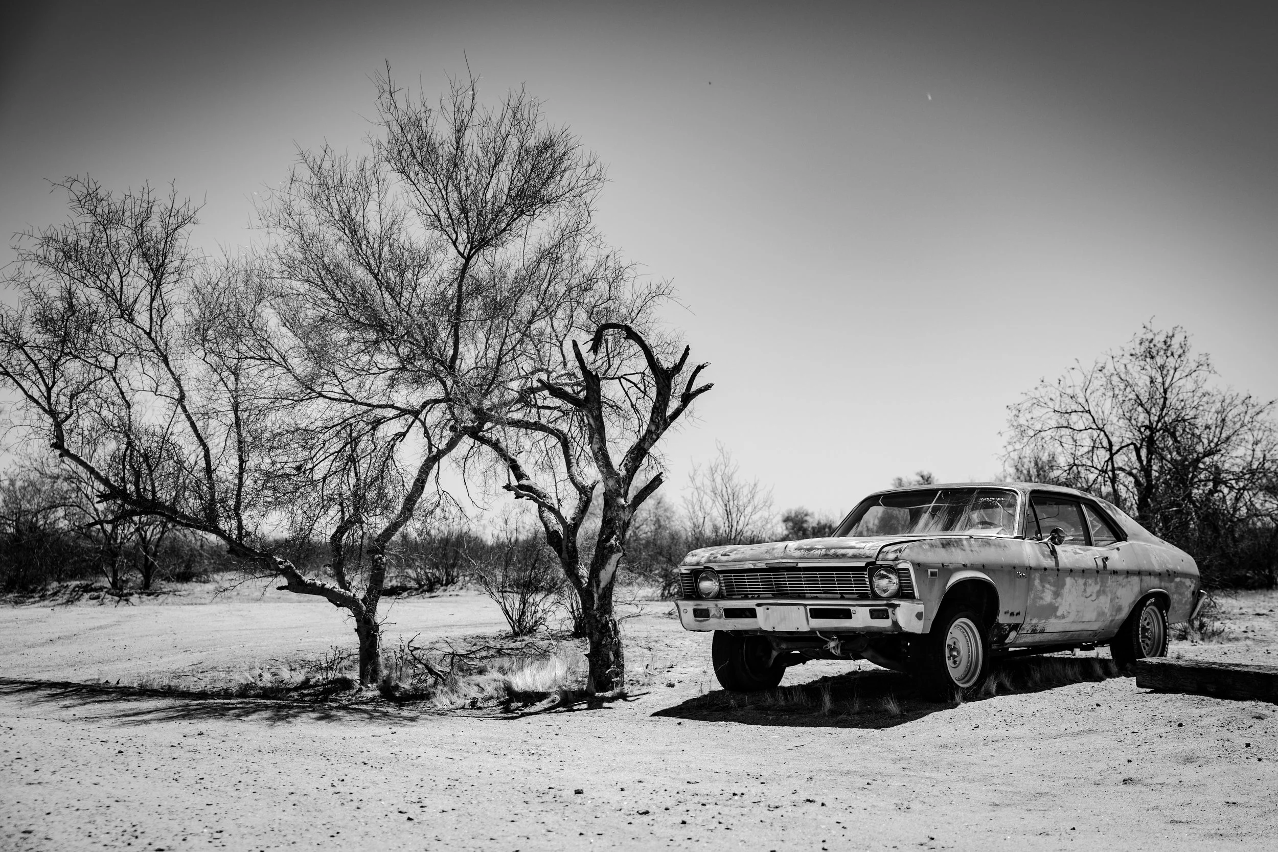 F74A4955.jpg