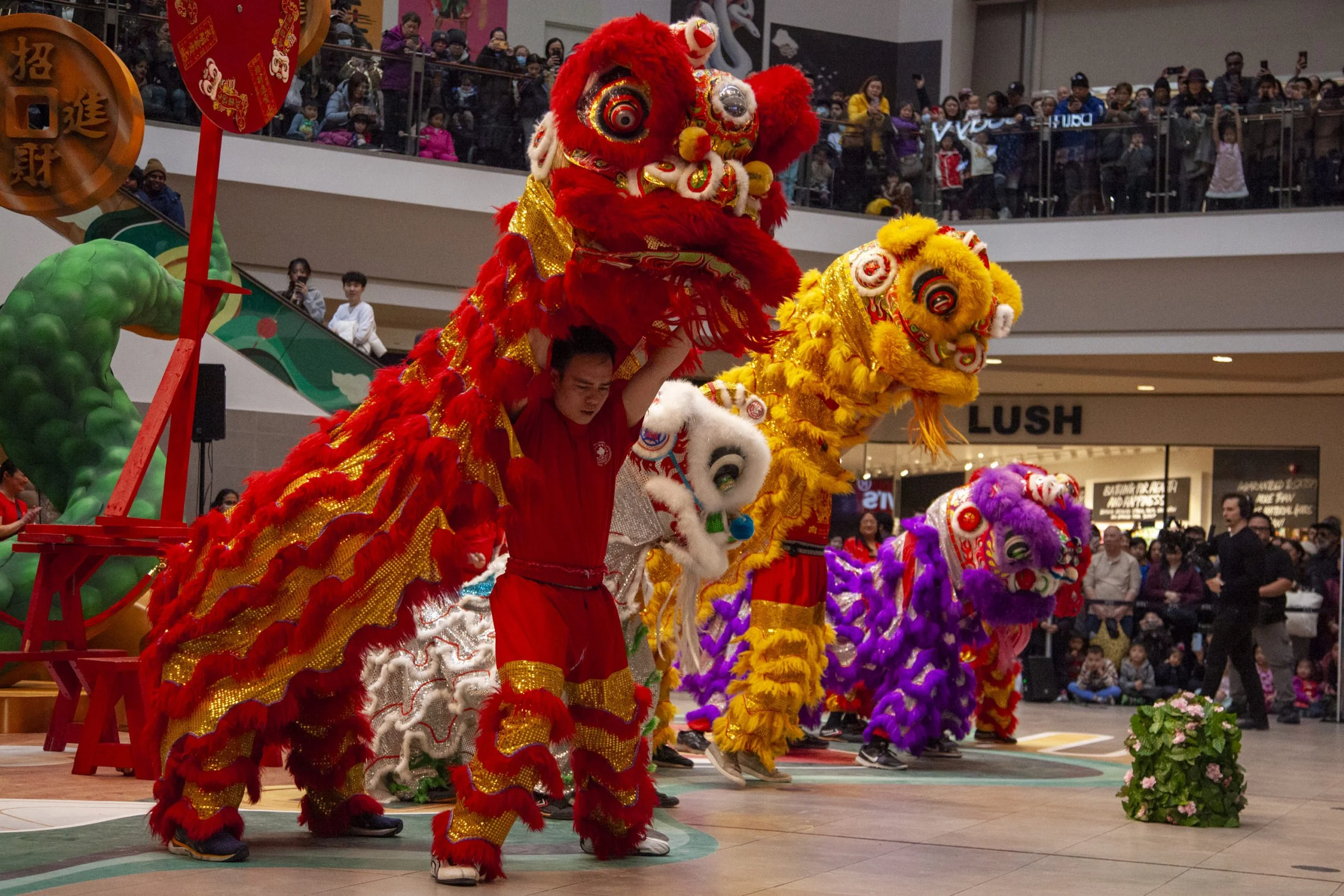 Jerry_Zhang_Lion_Dance-27-scaled.jpg