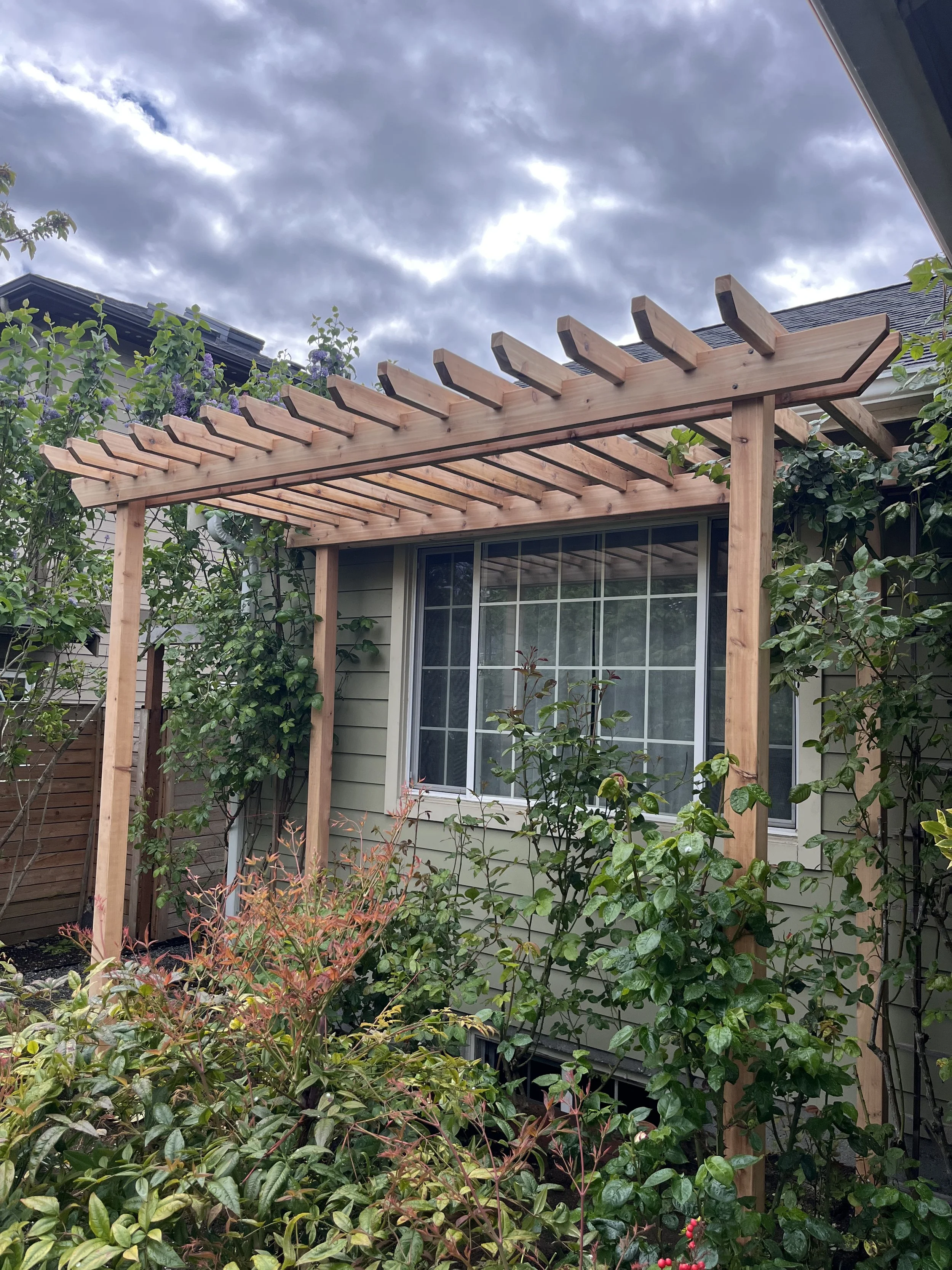 Cedar rose arbor in magnolia