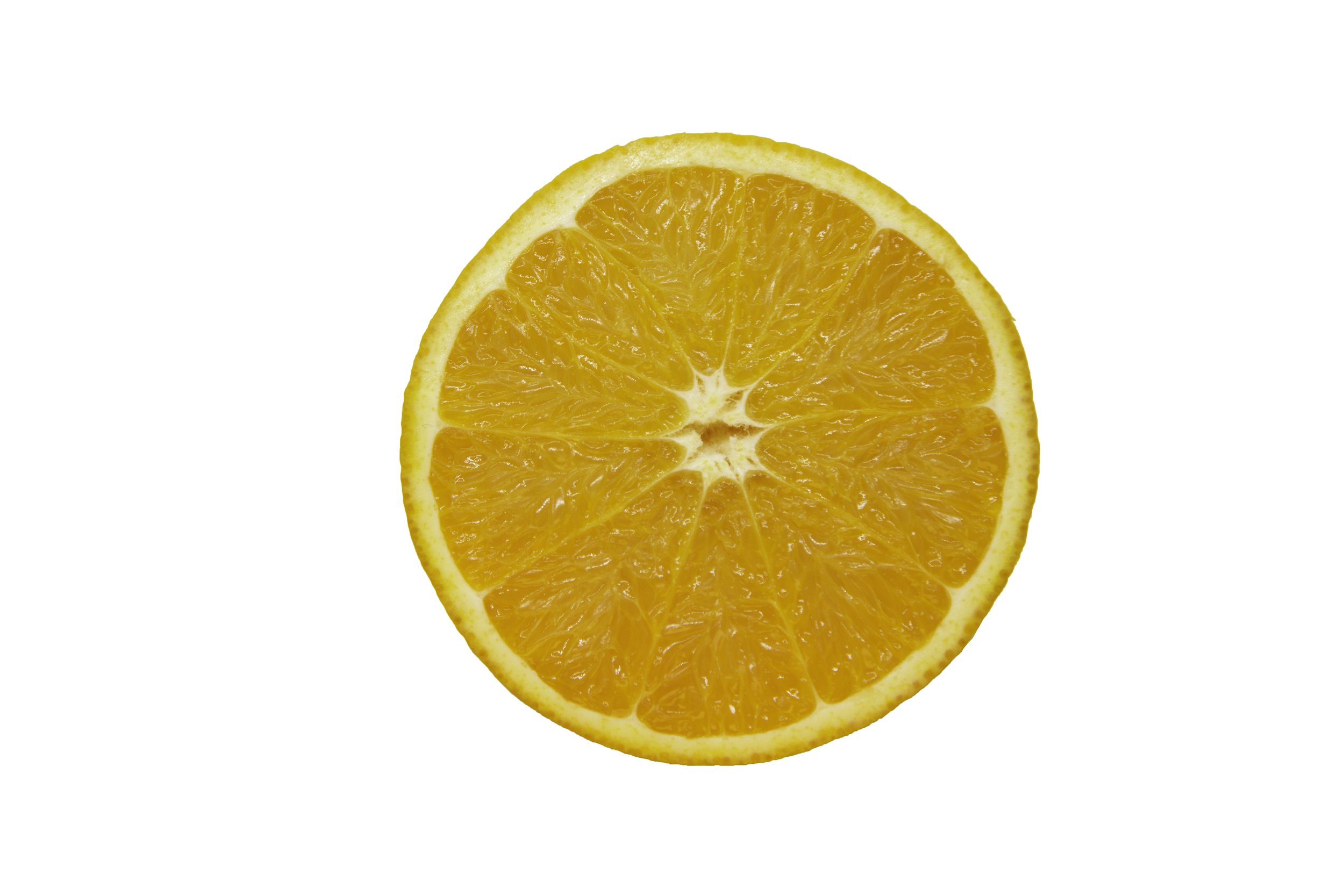 Oranges_Riley Arthur_2023_1 (25).jpg