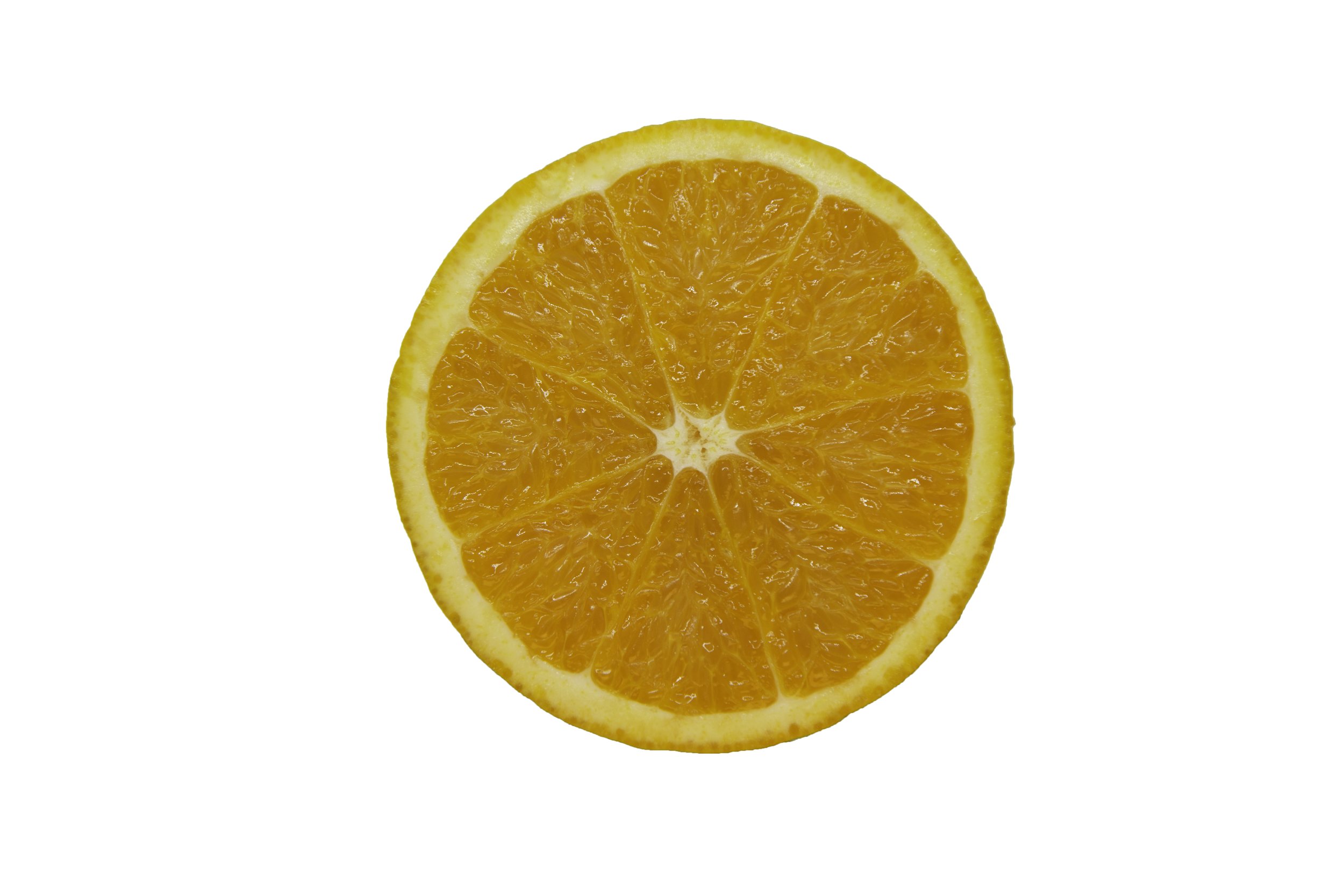 Oranges_Riley Arthur_2023_1 (22).jpg