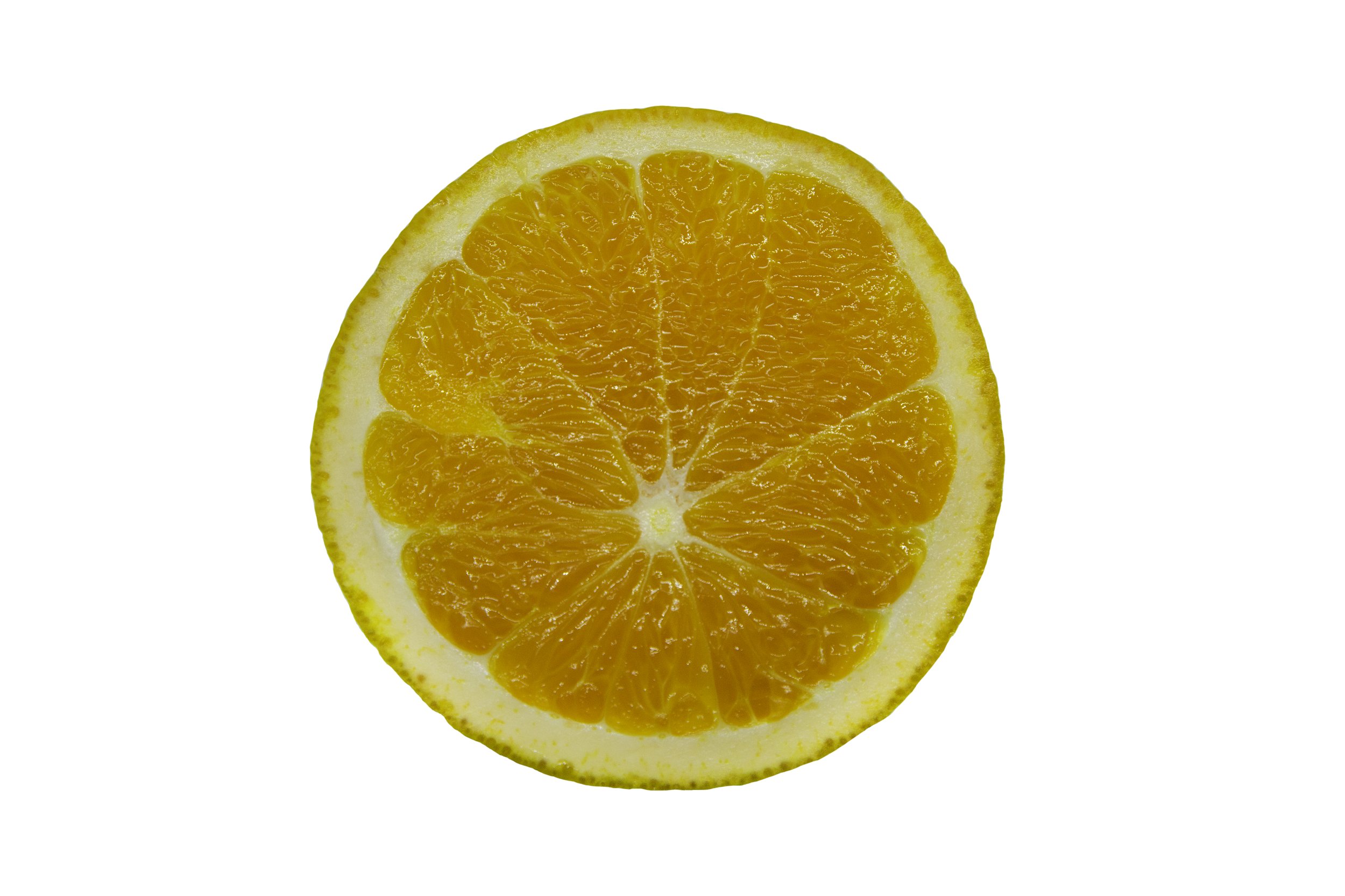 Oranges_Riley Arthur_2023_1 (17).jpg