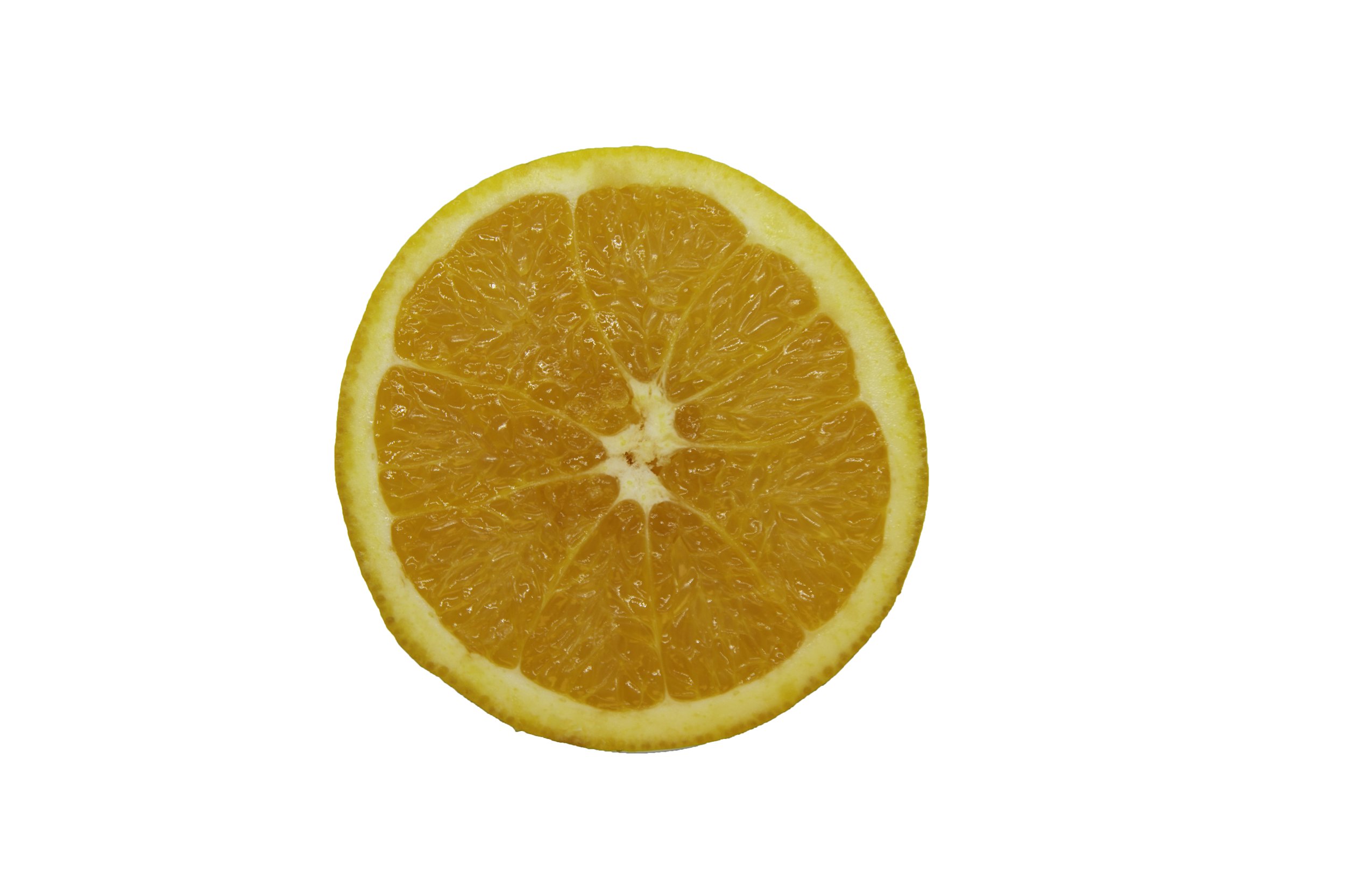 Oranges_Riley Arthur_2023_1 (24).jpg