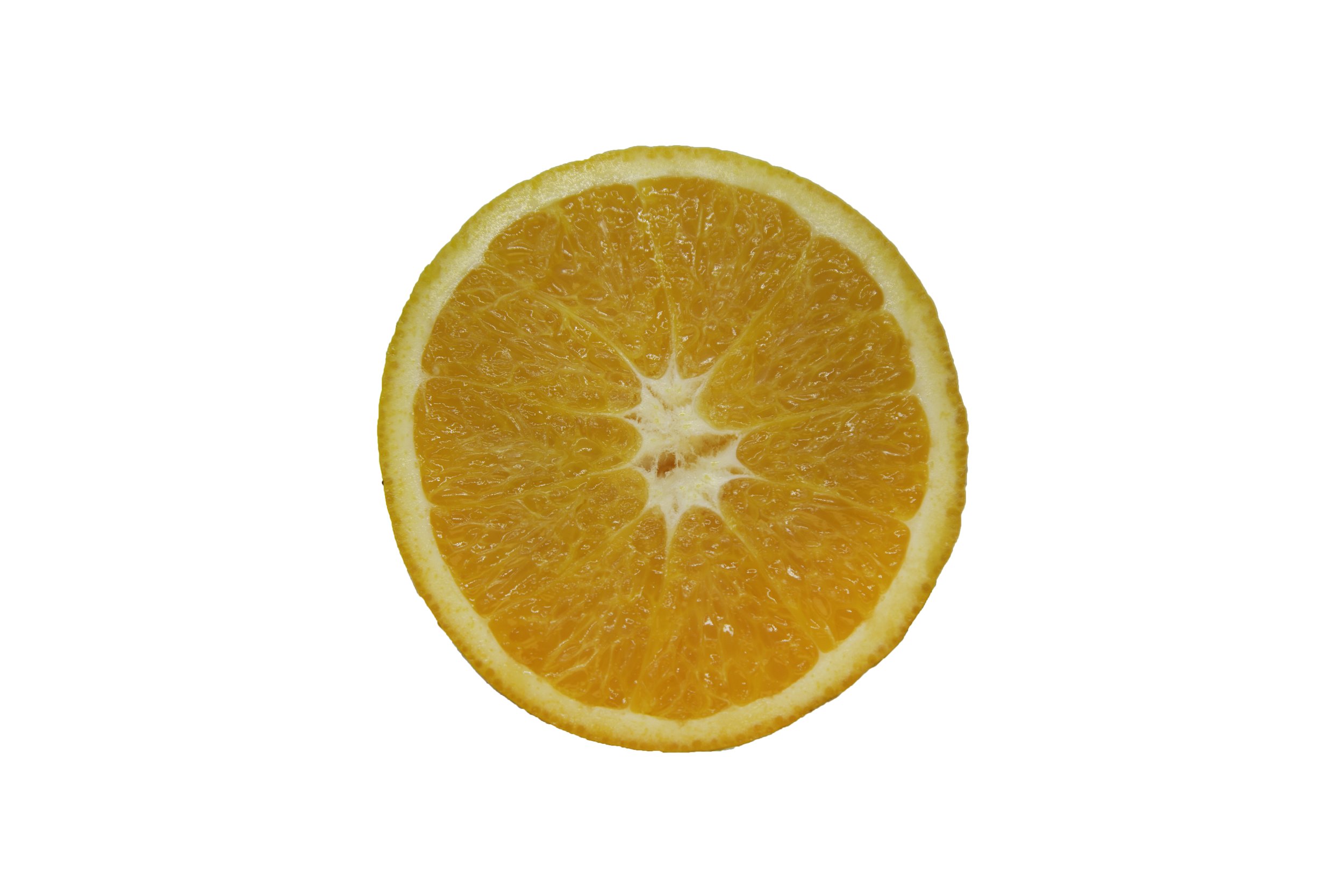 Oranges_Riley Arthur_2023_1 (28).jpg