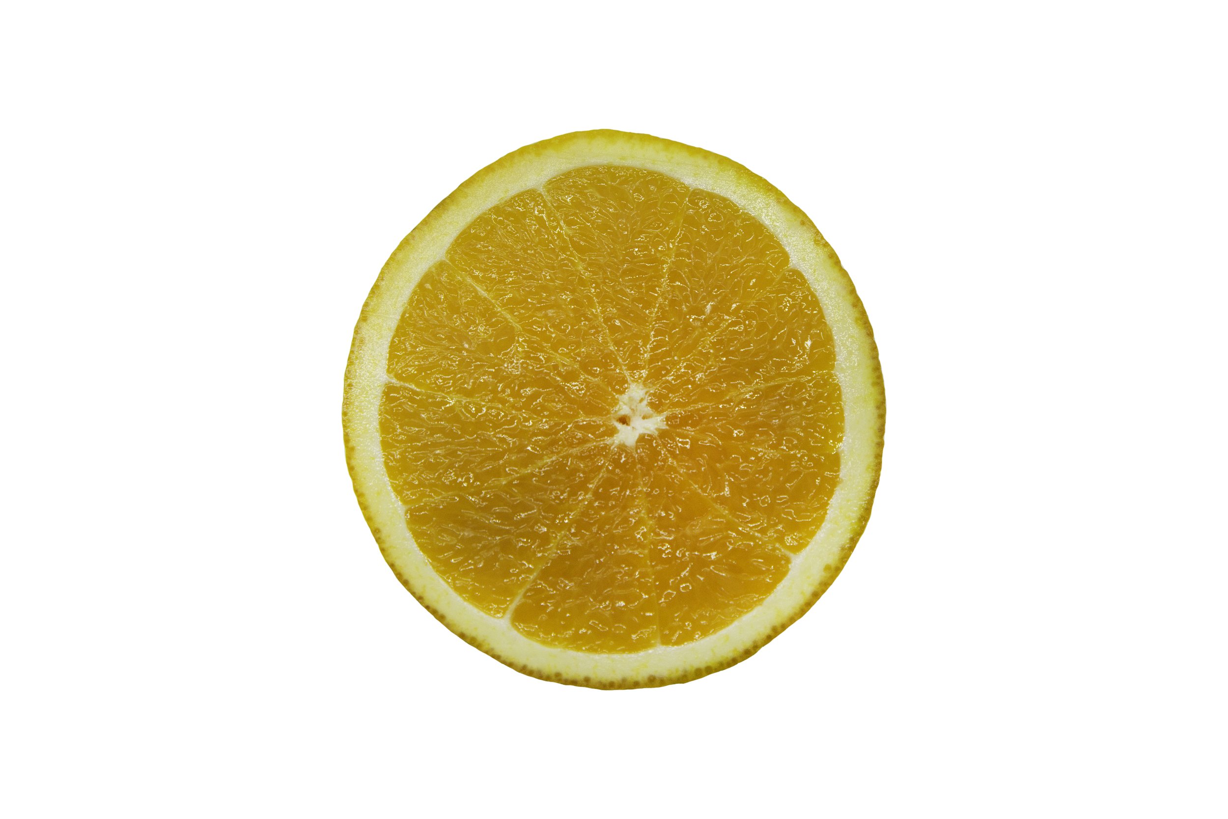 Oranges_Riley Arthur_2023_1 (11).jpg