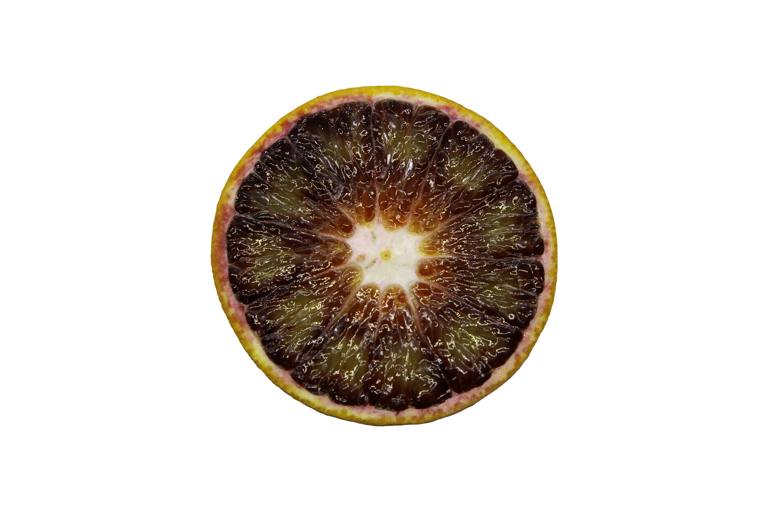 Oranges_Riley Arthur_2023_1 (73).jpg