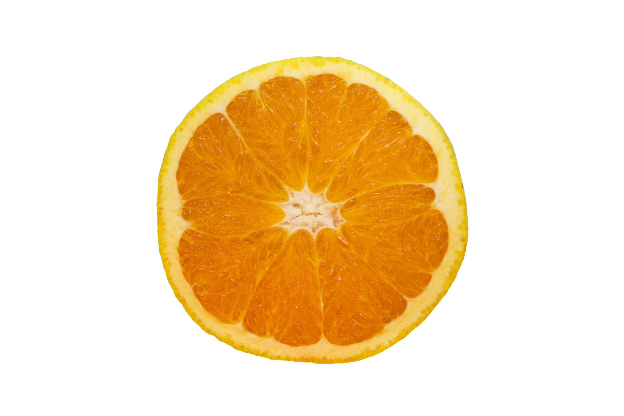 Oranges_Riley Arthur_2023_1 -76.jpg