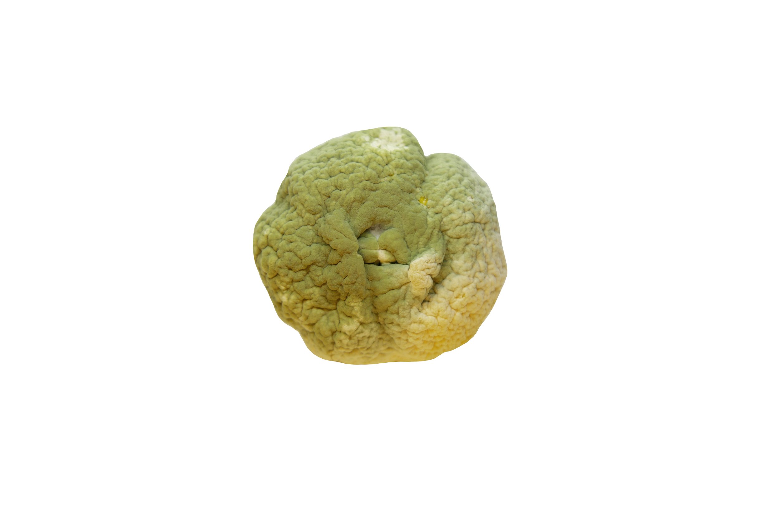 Lemons_Riley Arthur_2023_1 (25).jpg