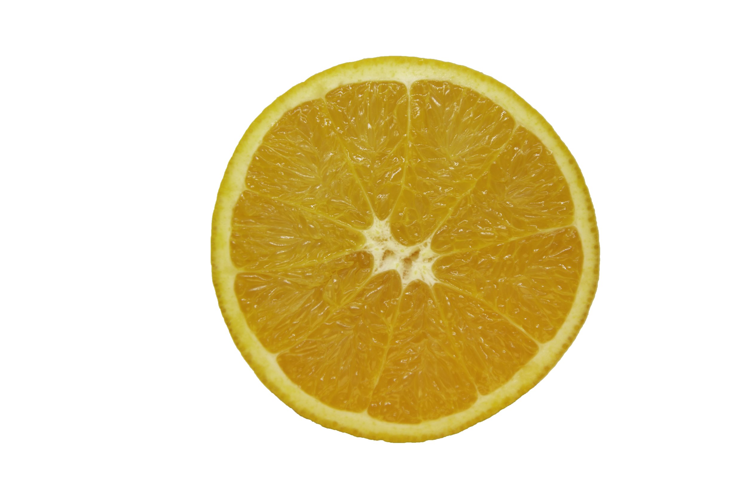 Oranges_Riley Arthur_2023_1 (26).jpg