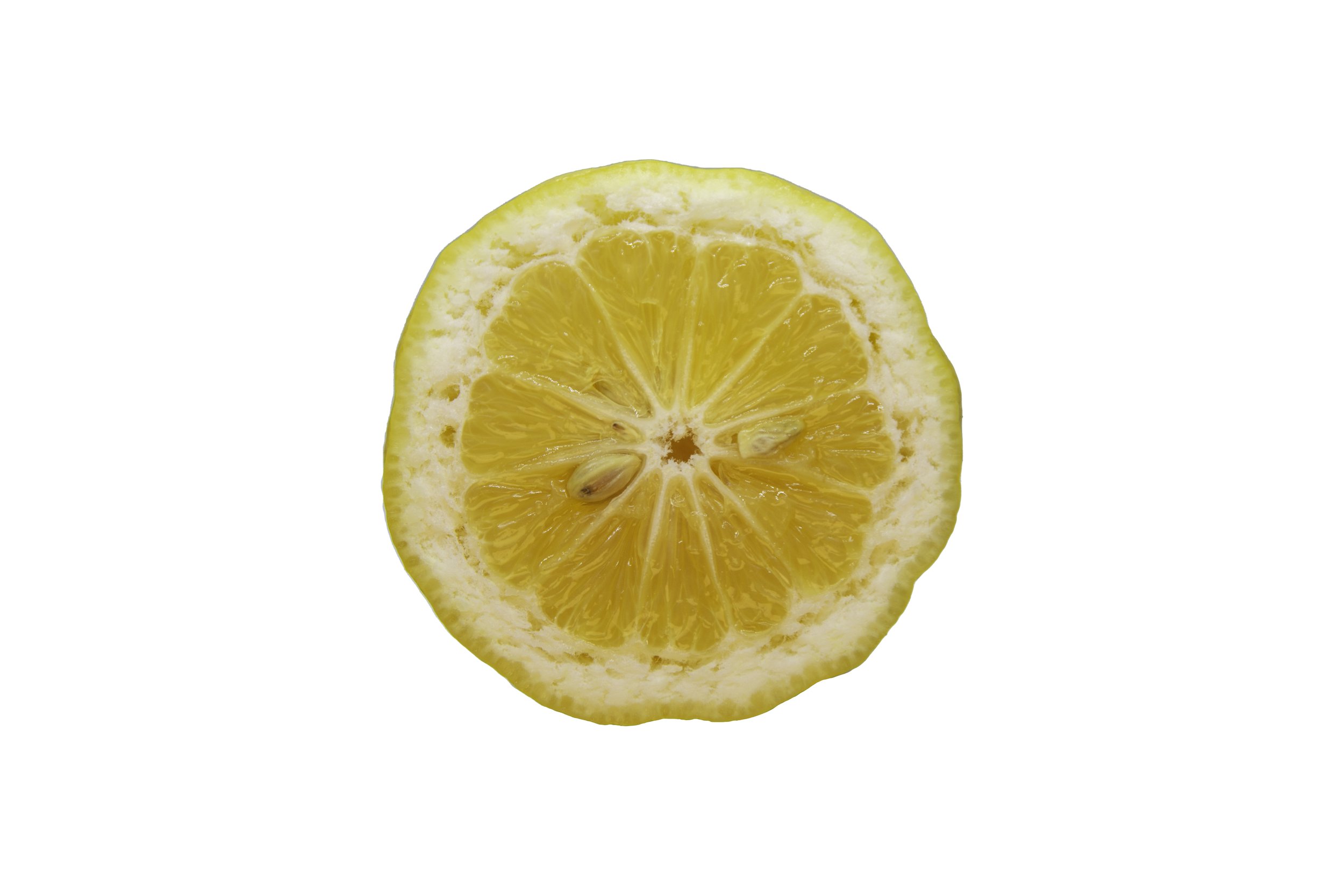 Lemons_Riley Arthur_2023_1 (28).jpg