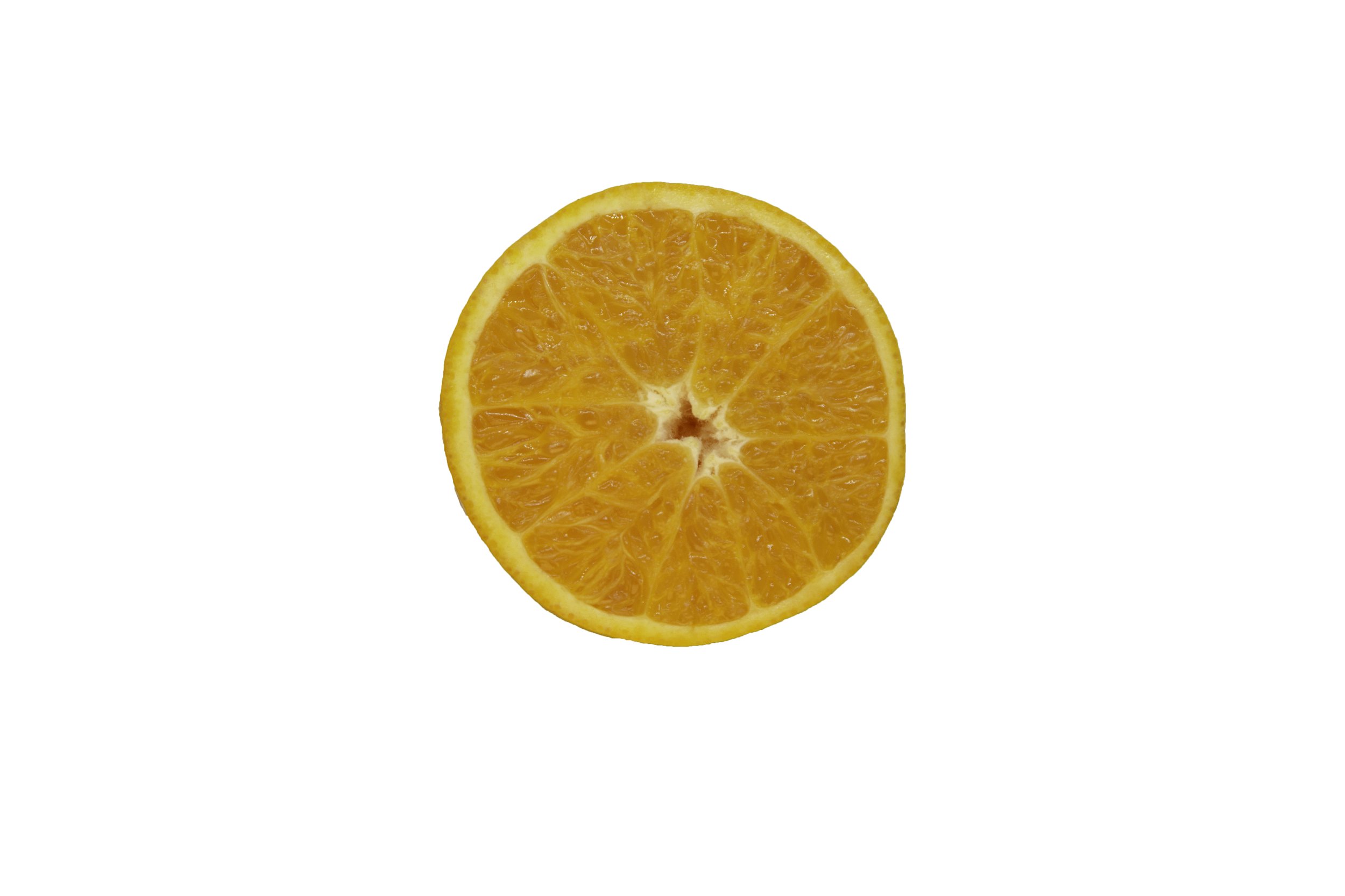 Oranges_Riley Arthur_2023_1 (36).jpg