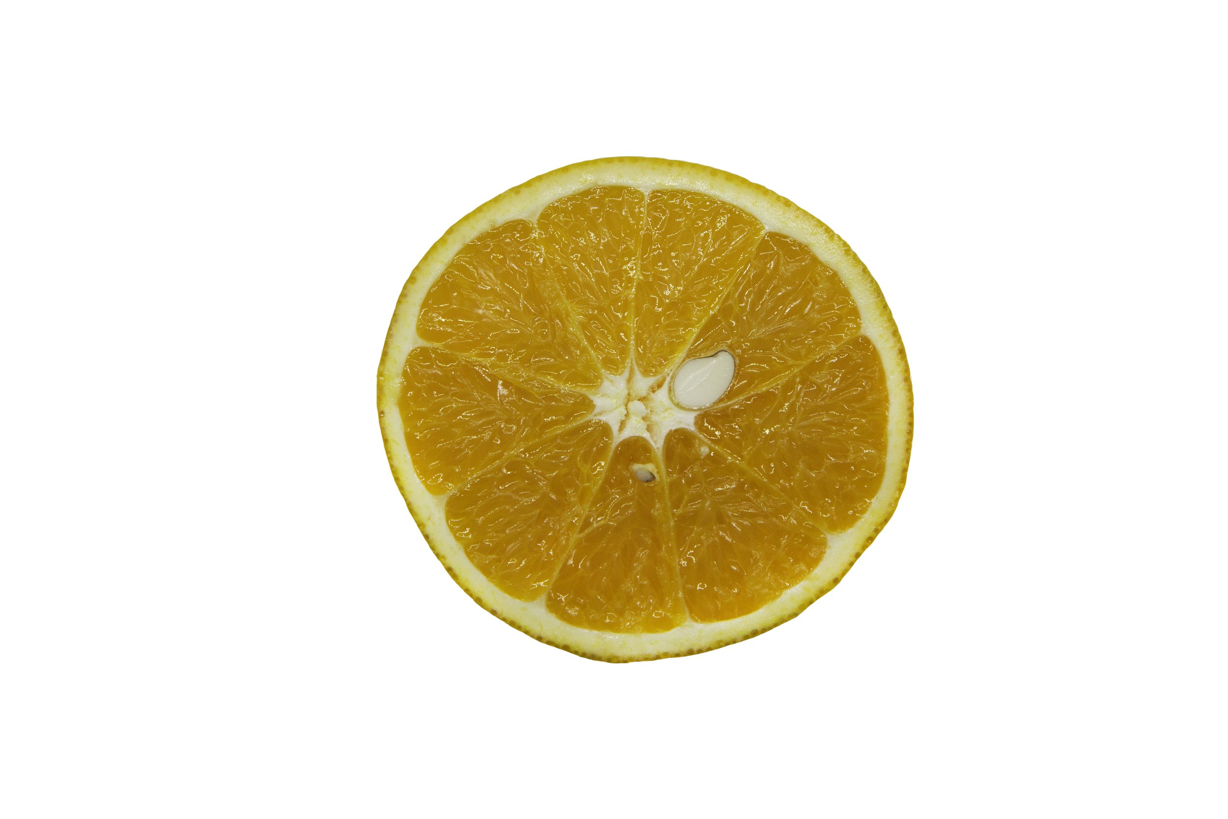 Oranges_Riley Arthur_2023_1 (12).jpg