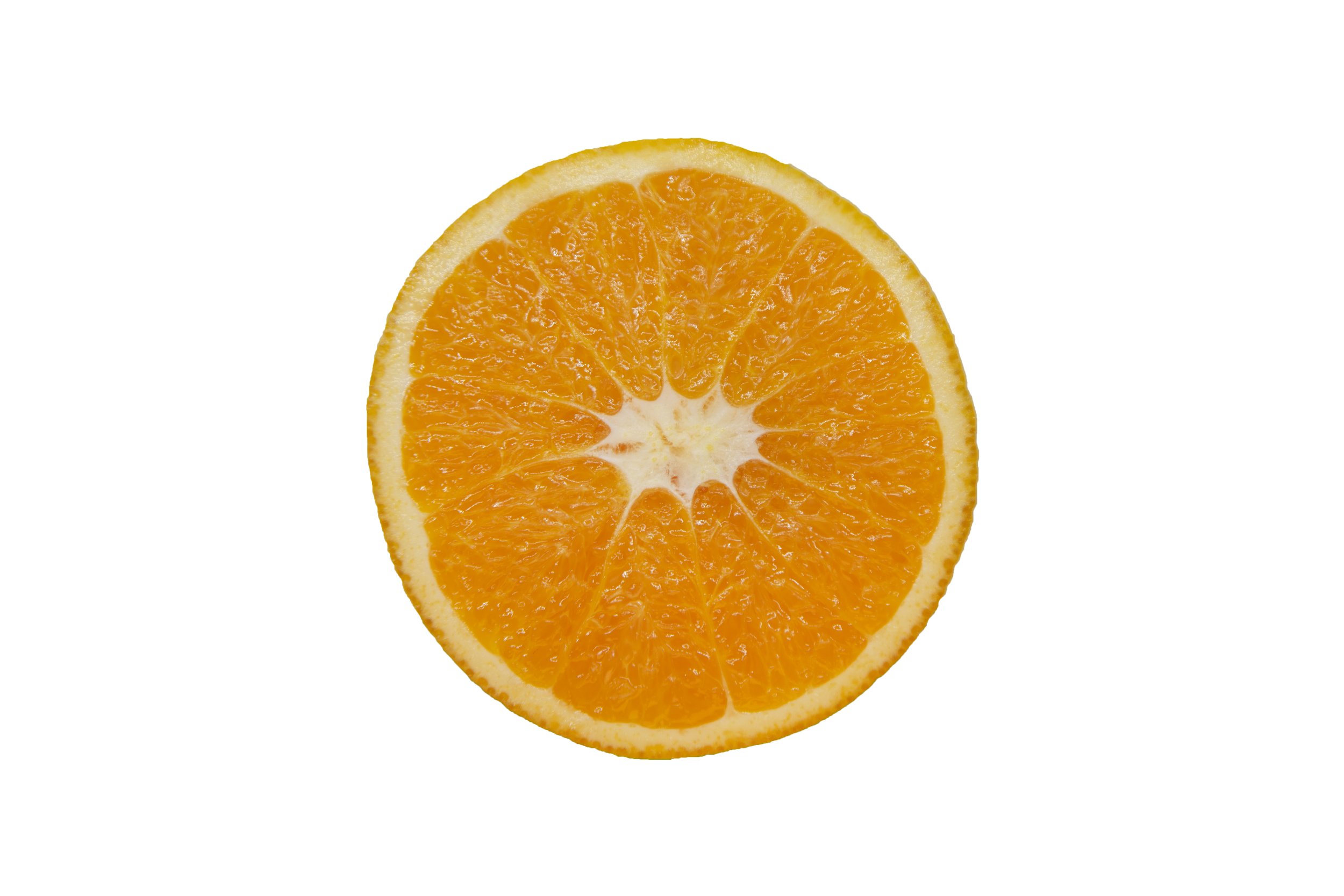 Oranges_Riley Arthur_2023_1 (30).jpg