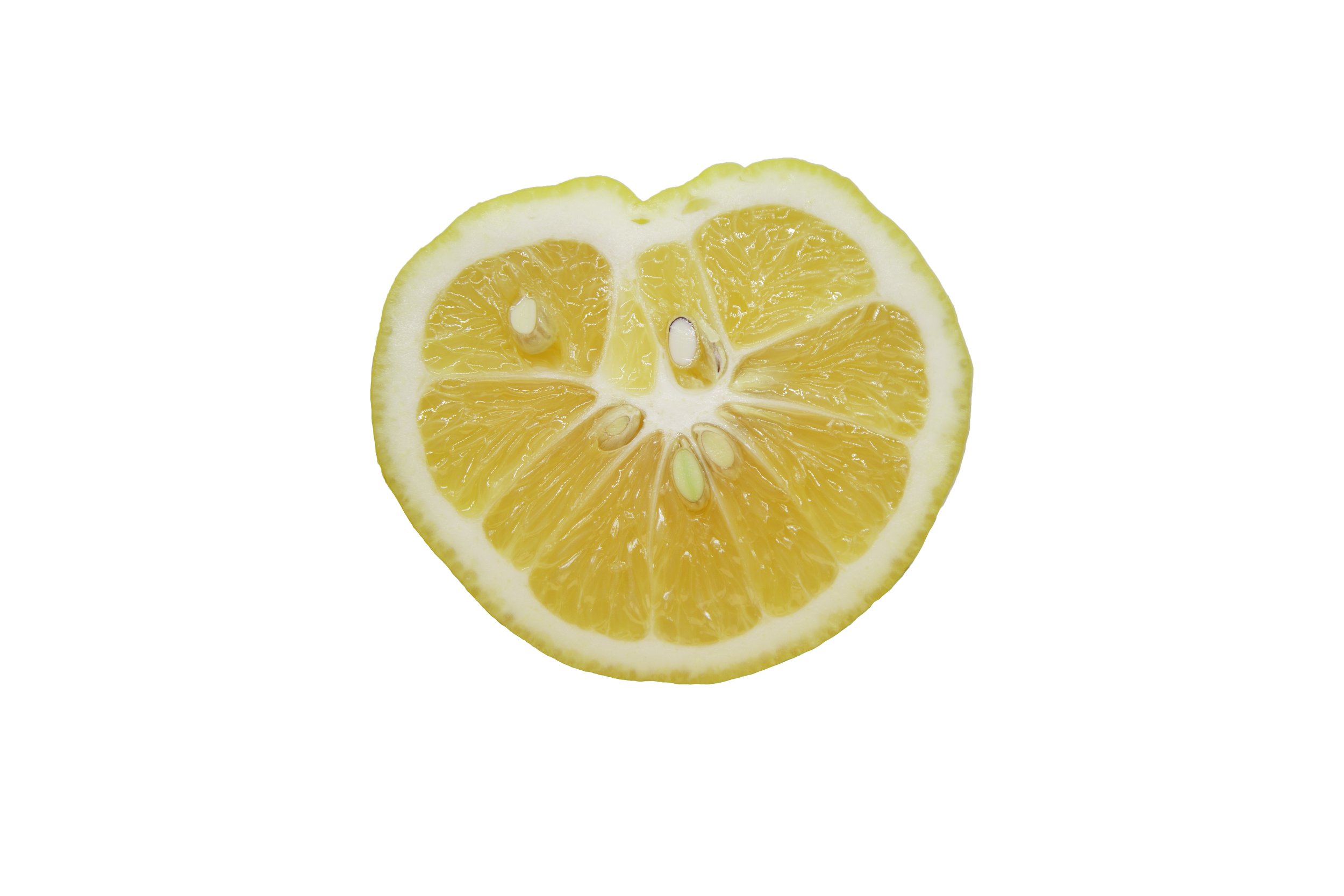 Lemons_Riley Arthur_2023_1 (45).jpg