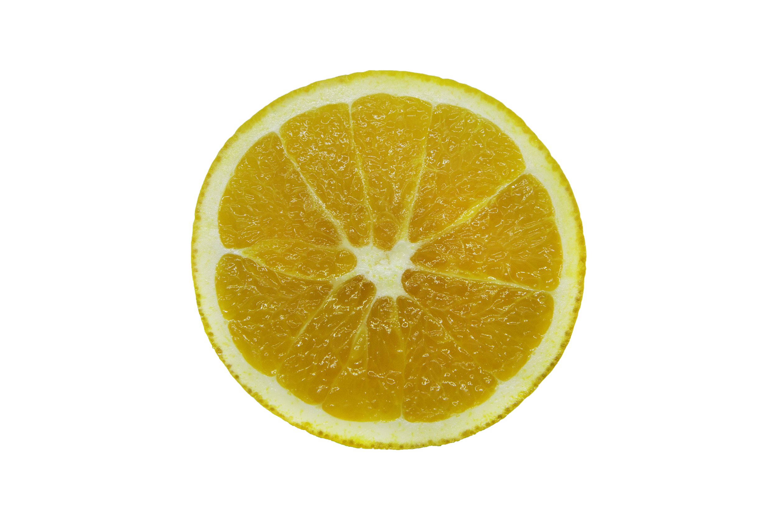 Oranges_Riley Arthur_2023_1 (16).jpg