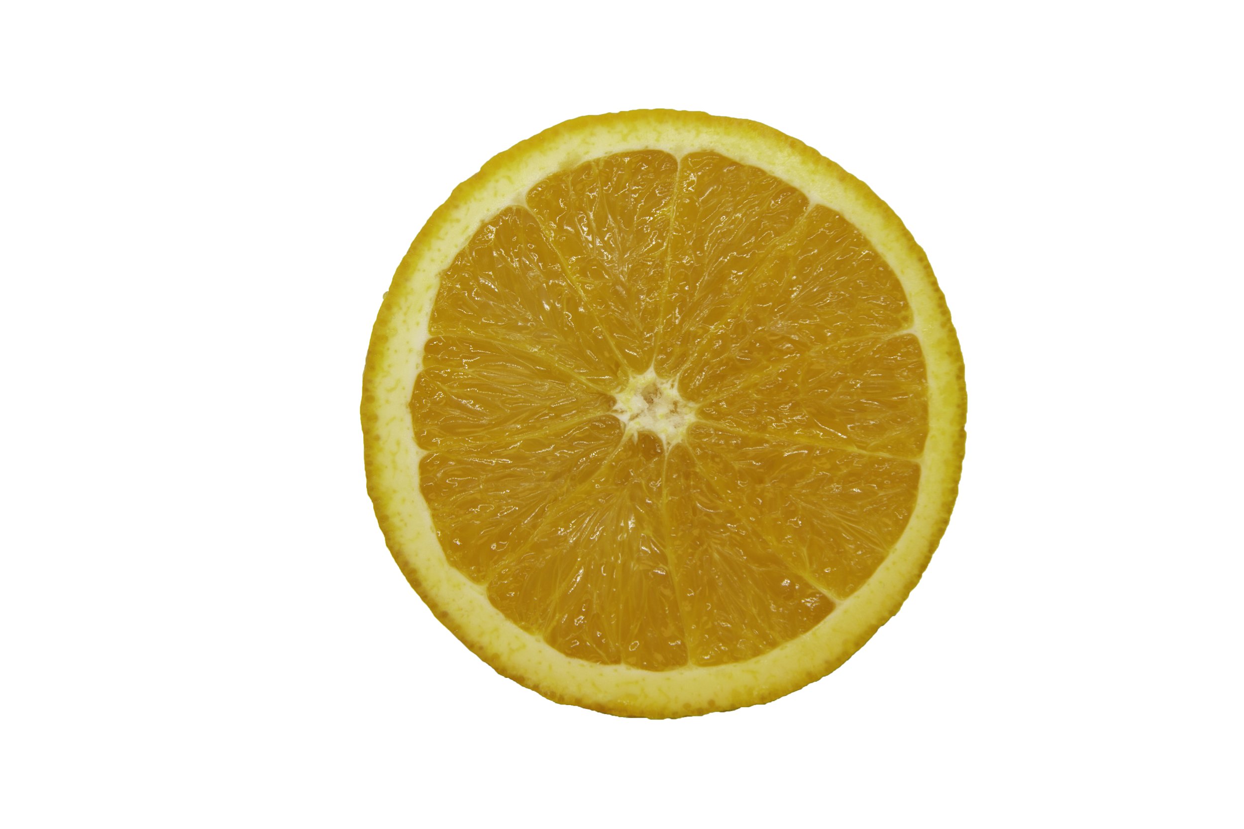 Oranges_Riley Arthur_2023_1 (23).jpg