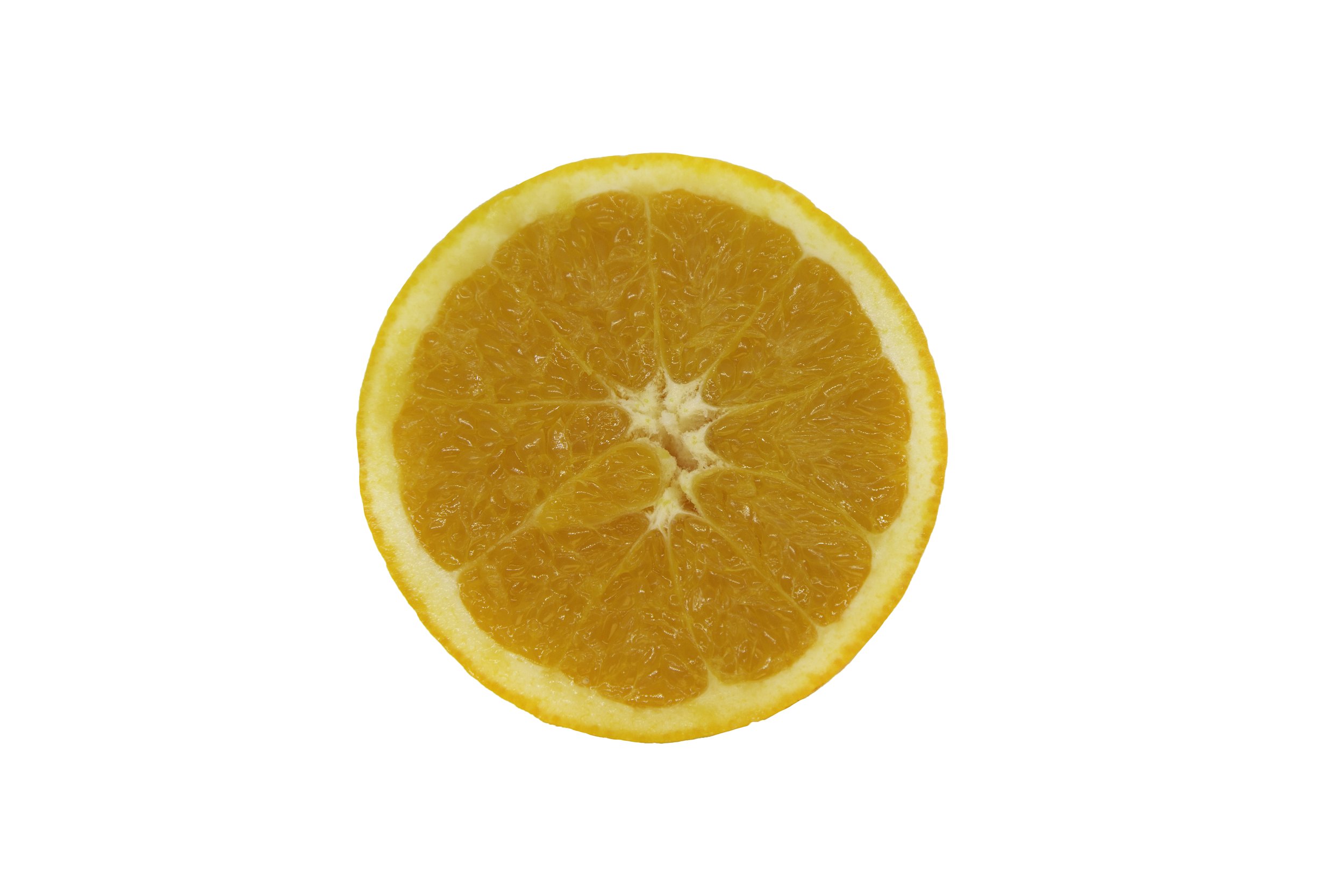 Oranges_Riley Arthur_2023_1 (41).jpg