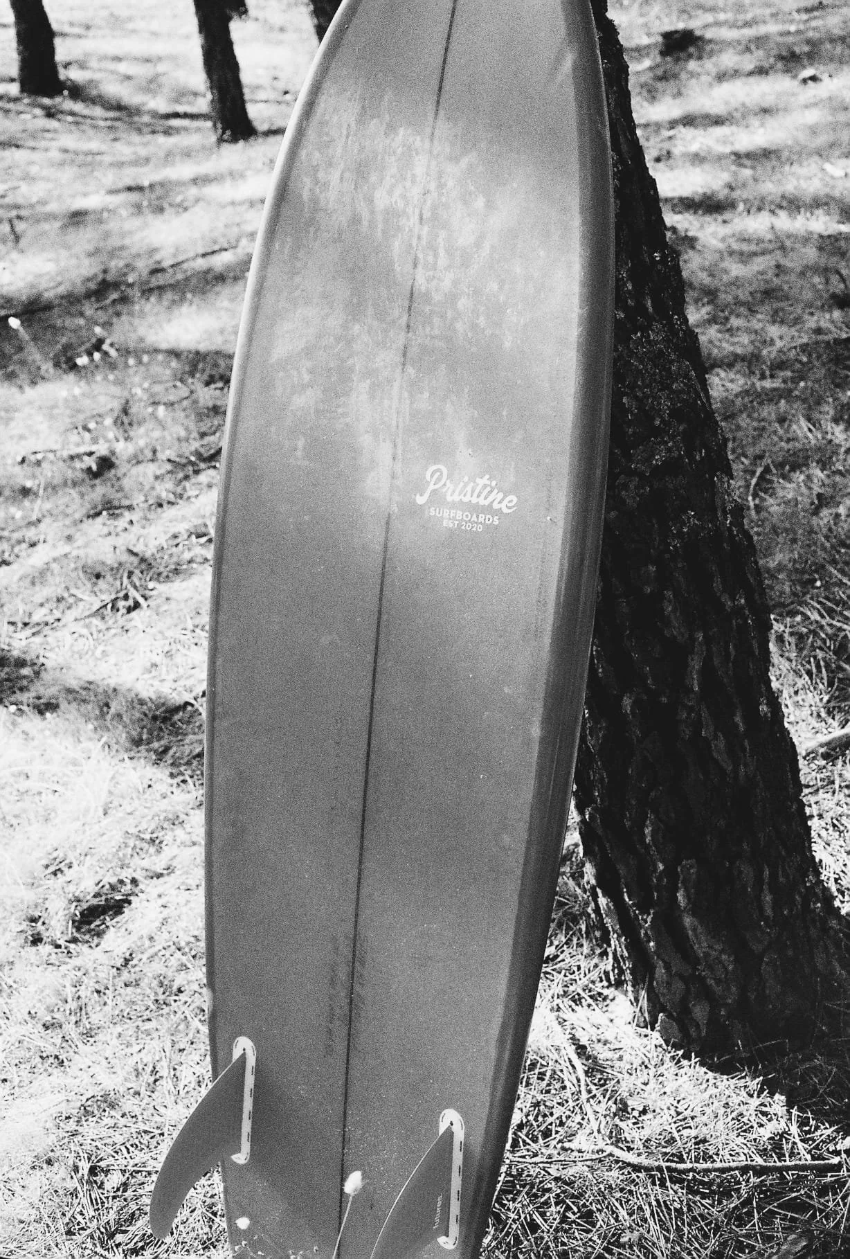 WhatsApp Image 2025-09-21 at 11.35.32 (1).jpeg