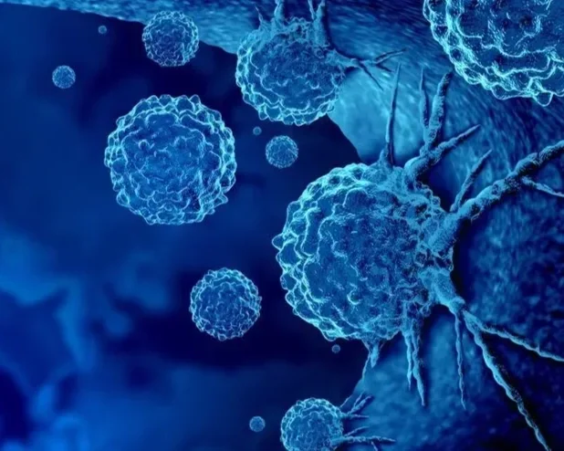 The Role of the Immune System in Fighting Cancer