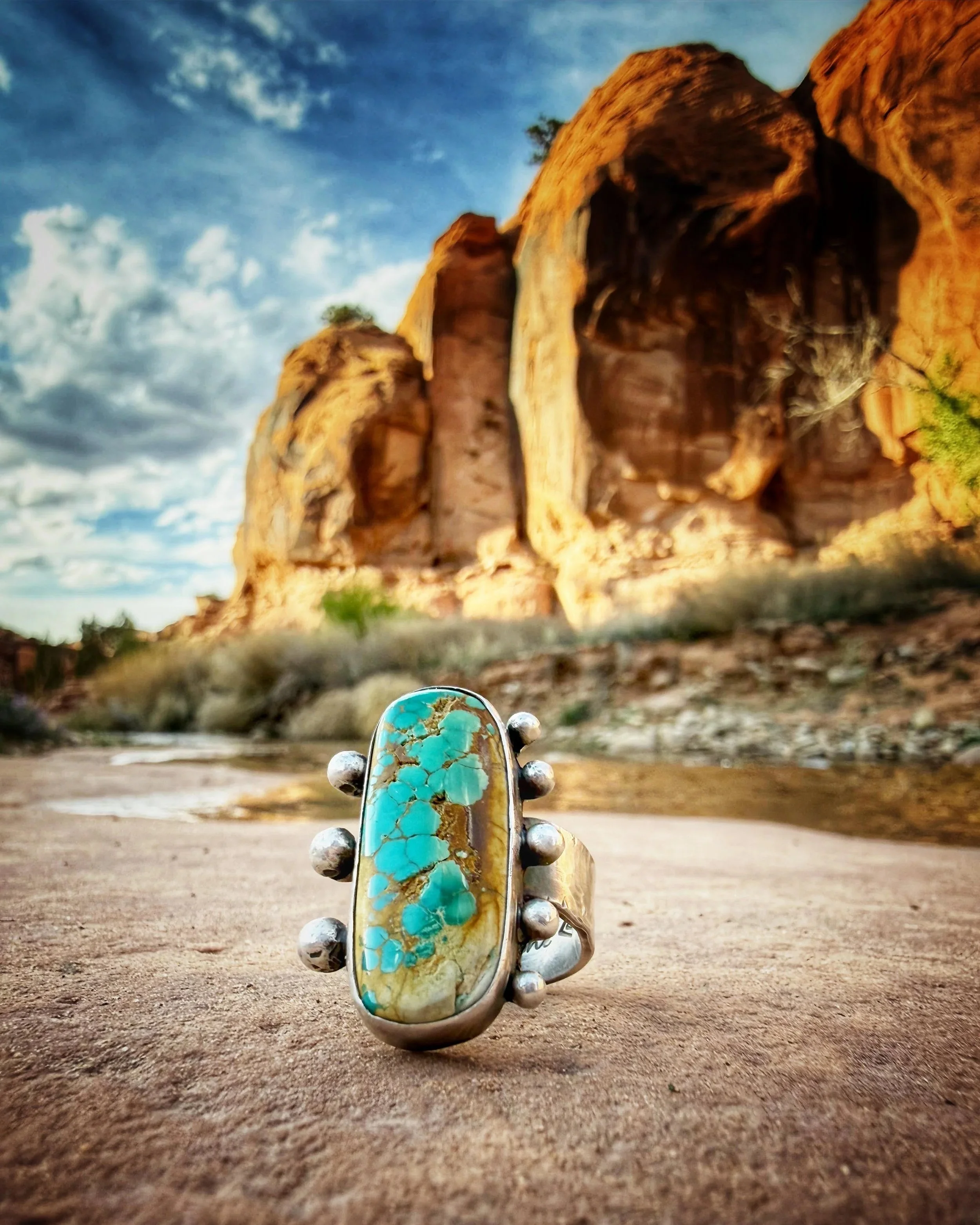 Royston Turquoise Statement Ring
