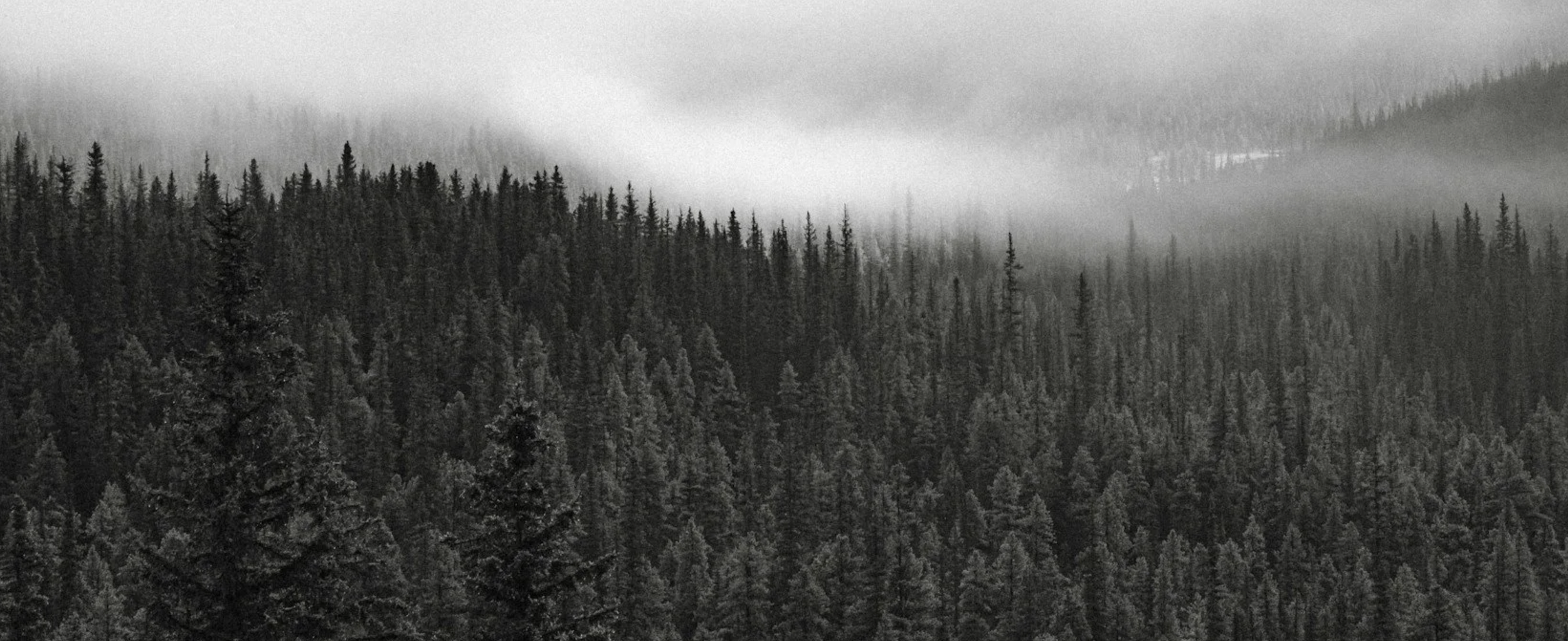 cold blooded (in-house)