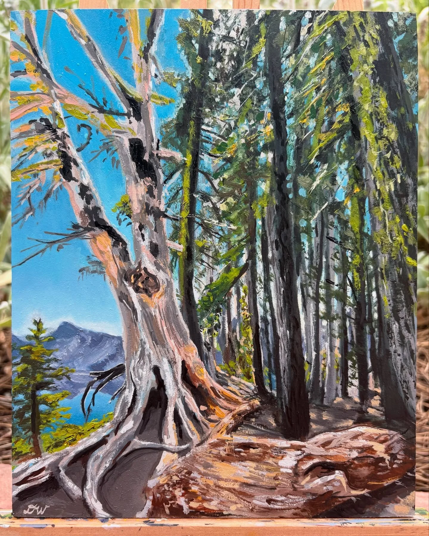 .
.
&ldquo;At the Crater&rsquo;s Edge&rdquo; 🌋💙🌳
8 x 10&rdquo;, oil on wood panel

I&rsquo;ve had this little painting on the easel for a while &mdash; June was a busy month. Feels good to finally finish it 🩵
On my first trip to Oregon, we drove 