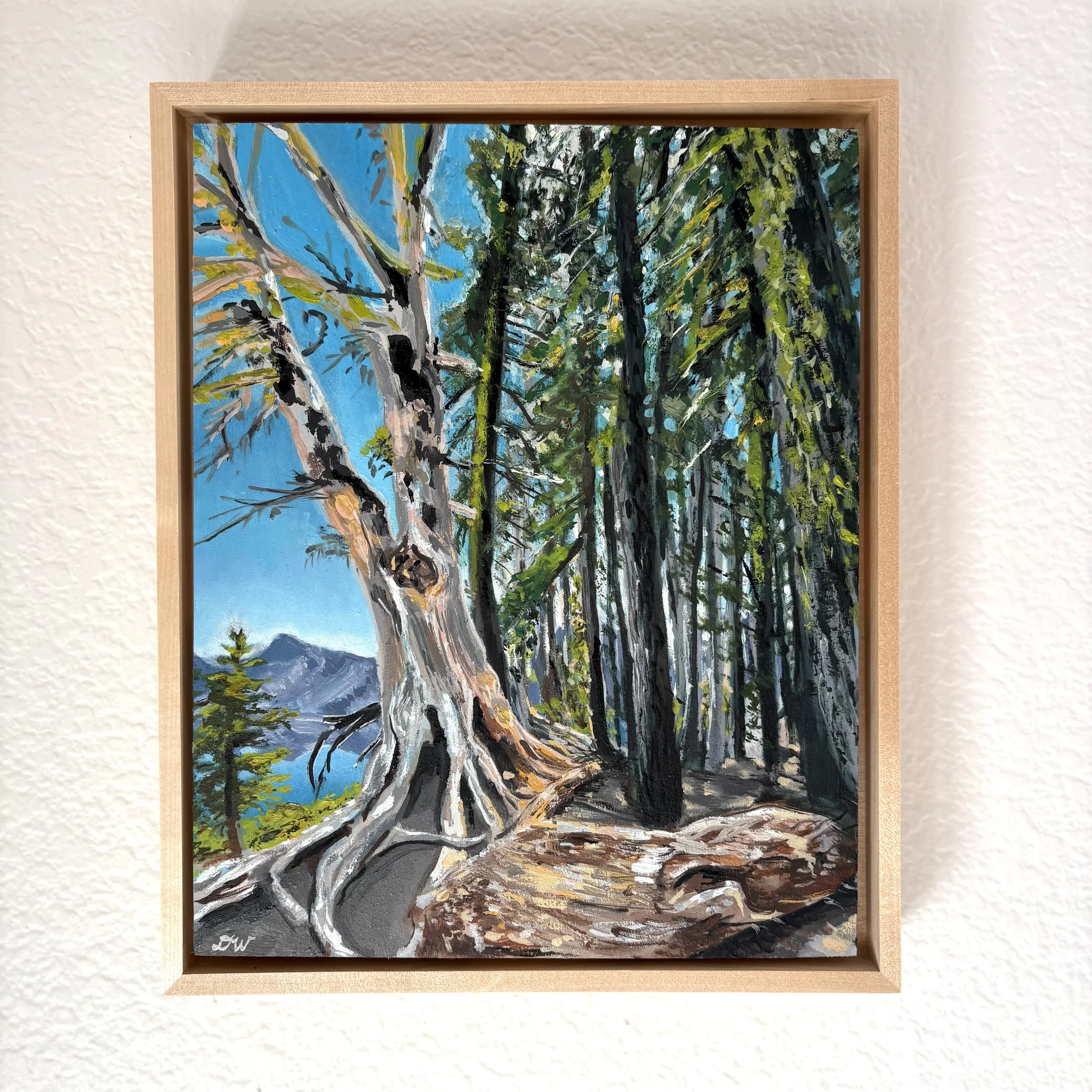 At the Crater's Edge