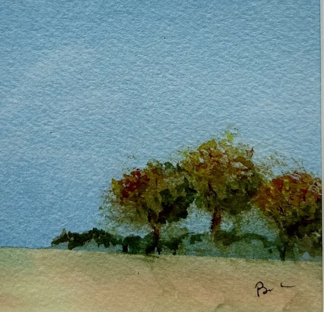 trees in the distance