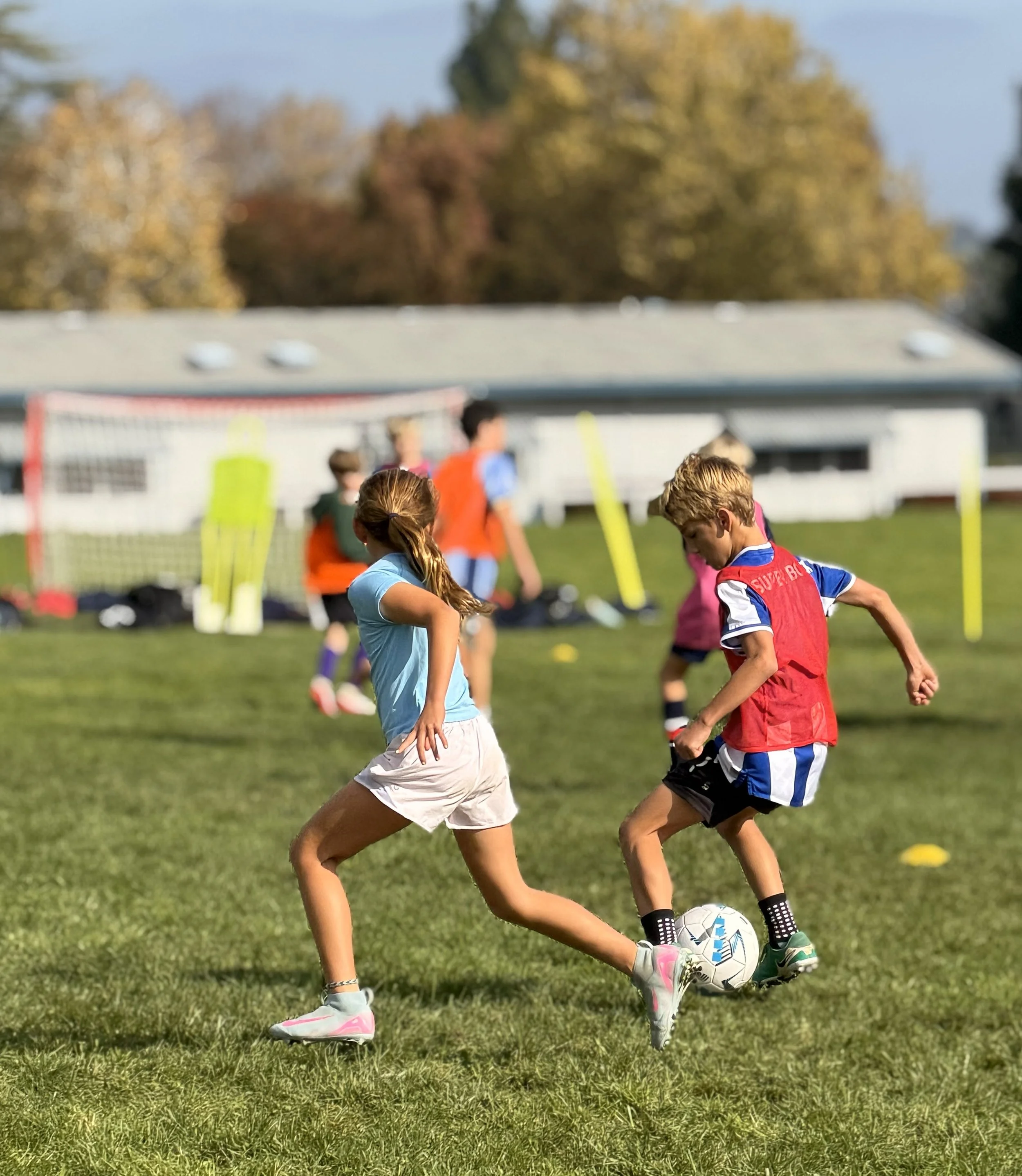 Summer Week 3: June 29 - July 3