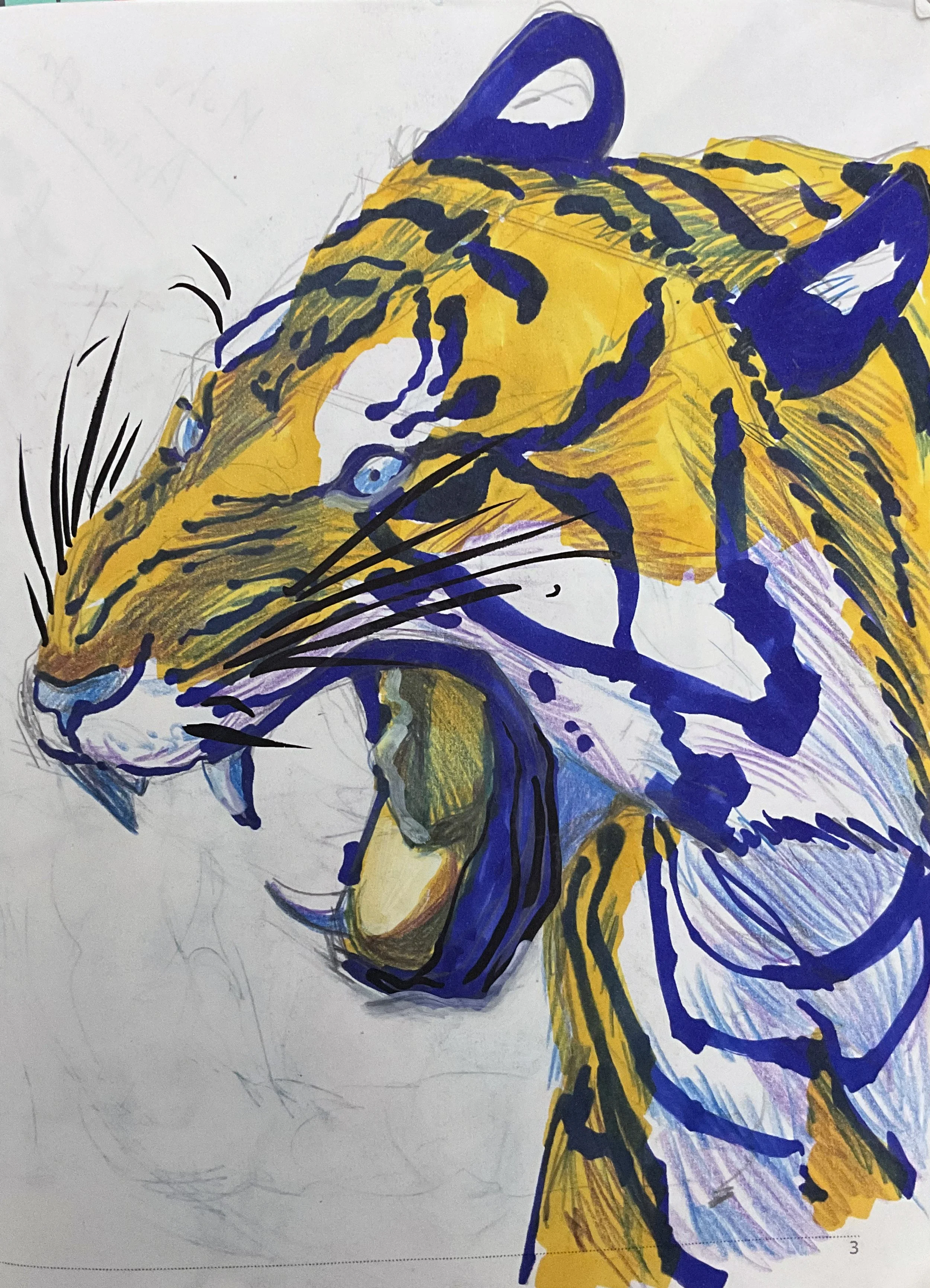 Animal study - Tiger drawn with marker and colored pencil