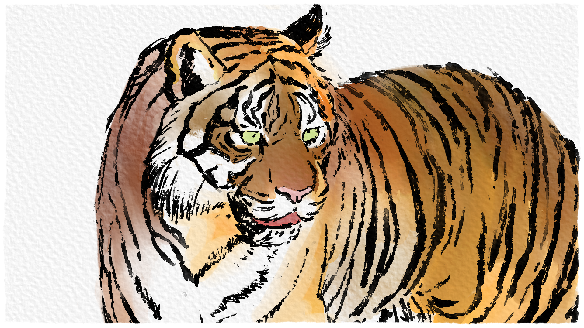 Tiger.png