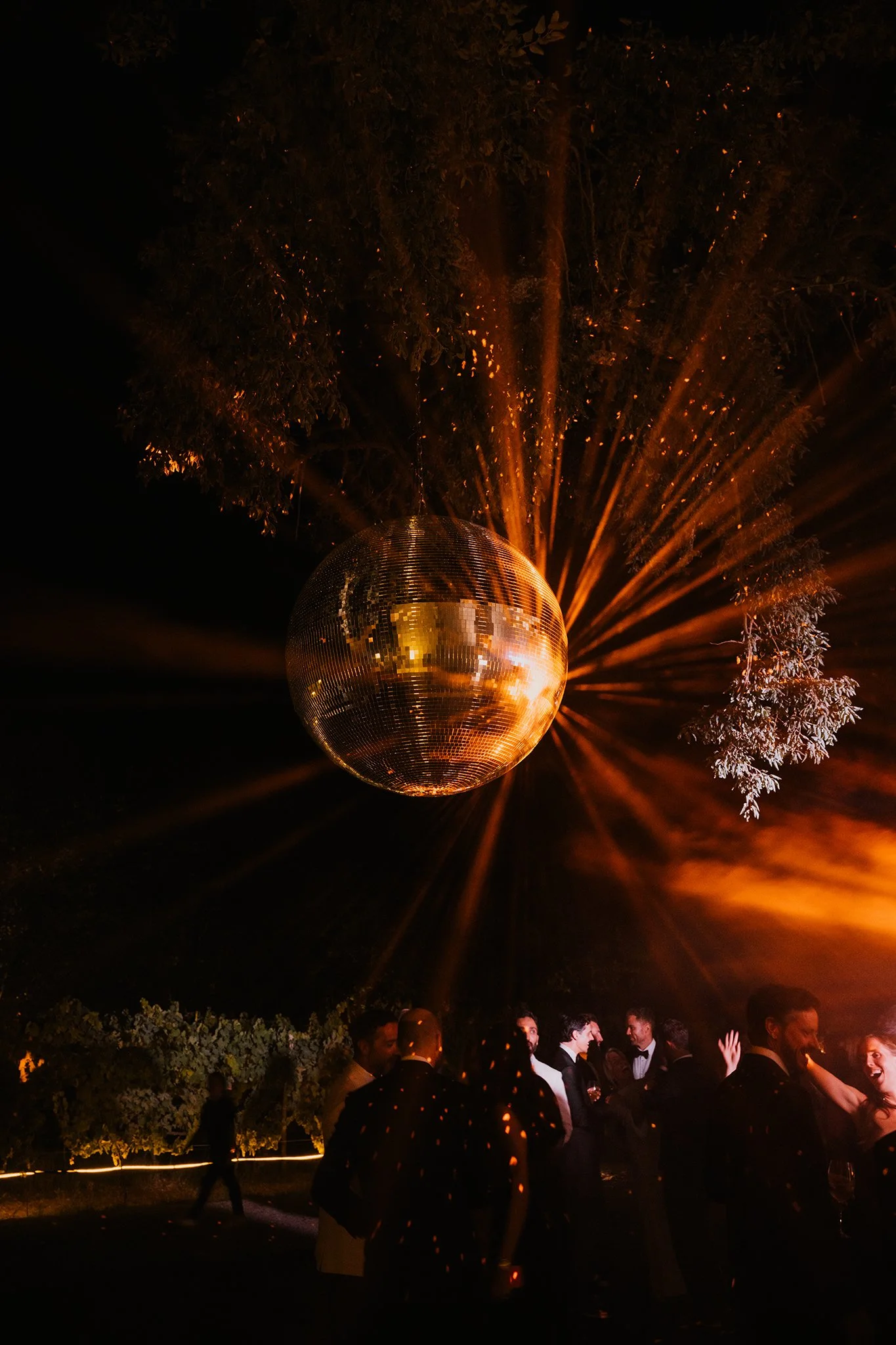 mfh-Aladin-and-Shem-Party-13.jpg